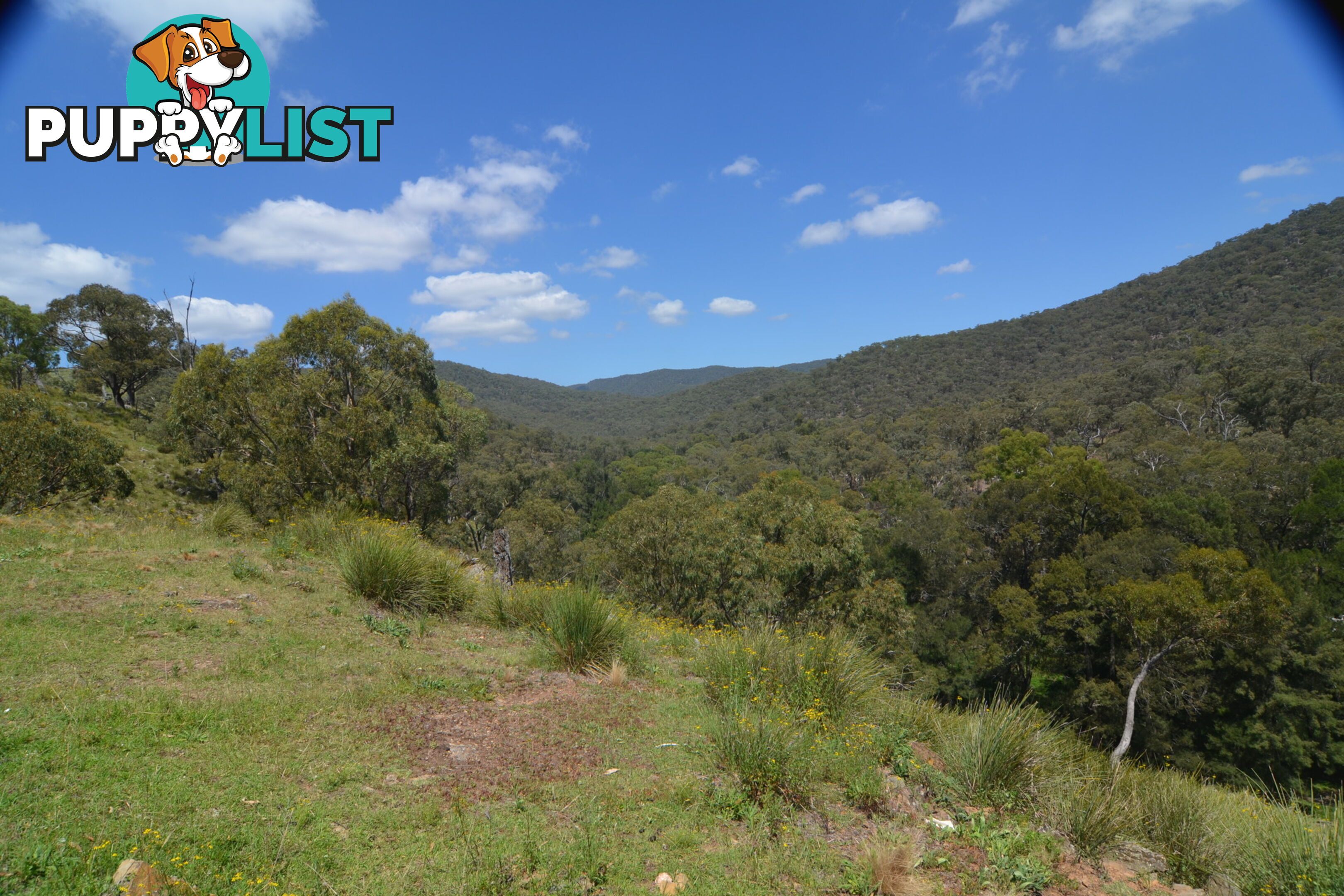 Lot 4 Upper Turon Road CAPERTEE NSW 2846