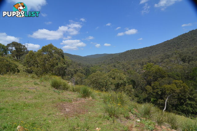 Lot 4 Upper Turon Road CAPERTEE NSW 2846