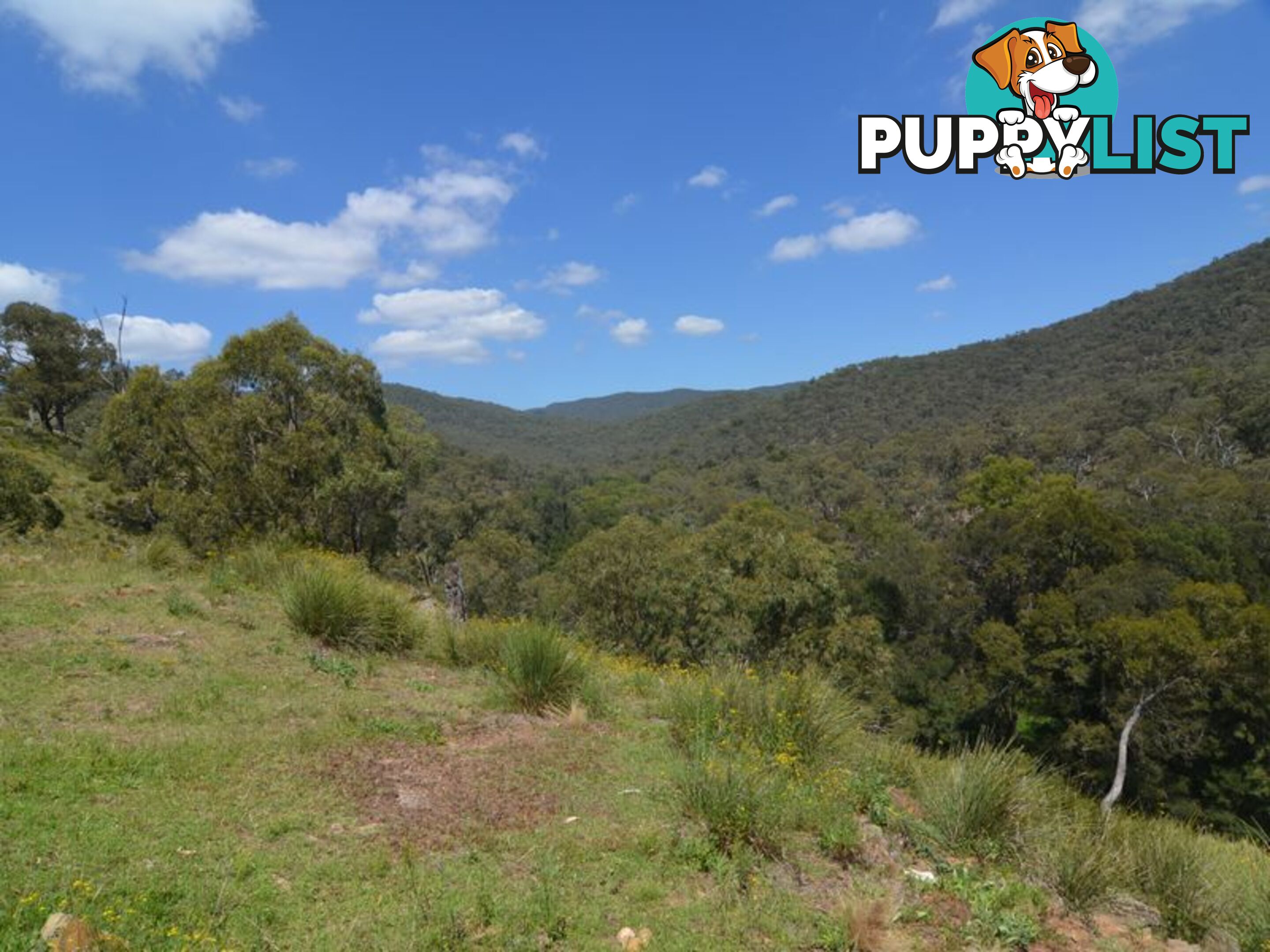 Lot 4 Upper Turon Road CAPERTEE NSW 2846