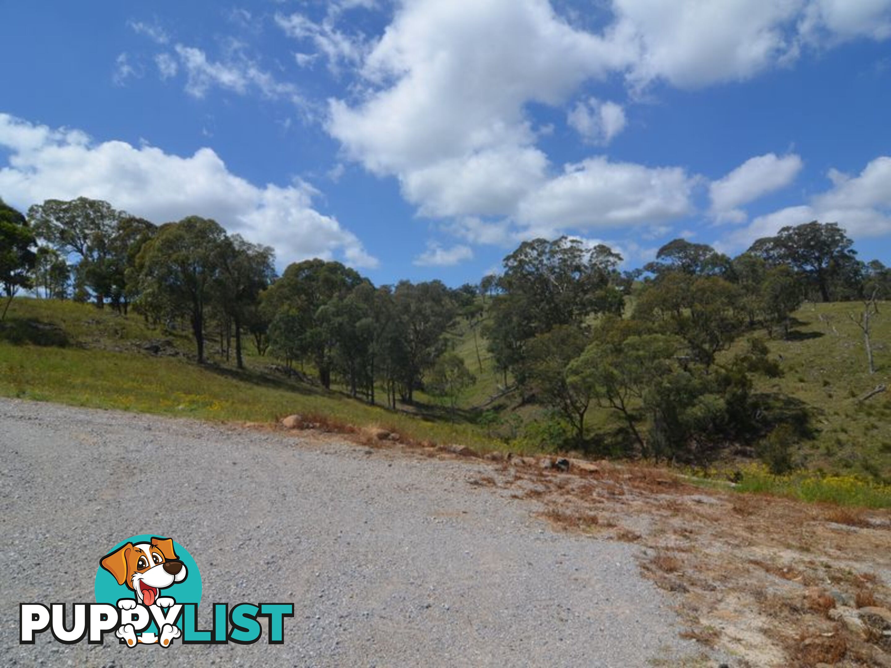 Lot 4 Upper Turon Road CAPERTEE NSW 2846