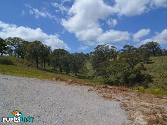 Lot 4 Upper Turon Road CAPERTEE NSW 2846