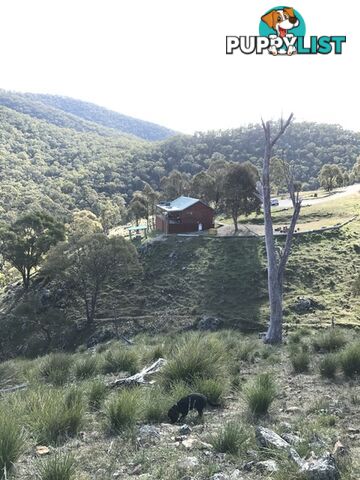 Lot 4 Upper Turon Road CAPERTEE NSW 2846