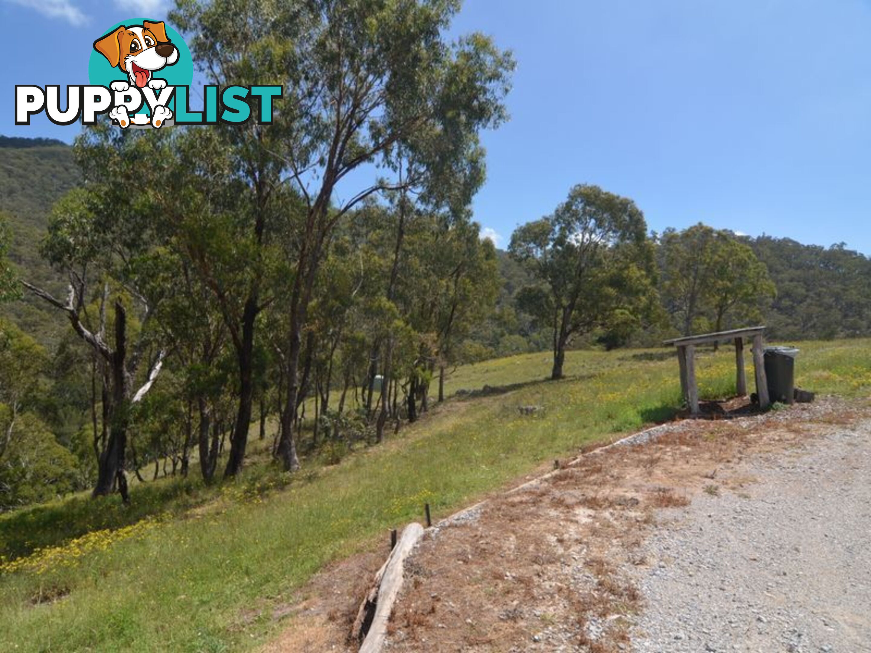 Lot 4 Upper Turon Road CAPERTEE NSW 2846