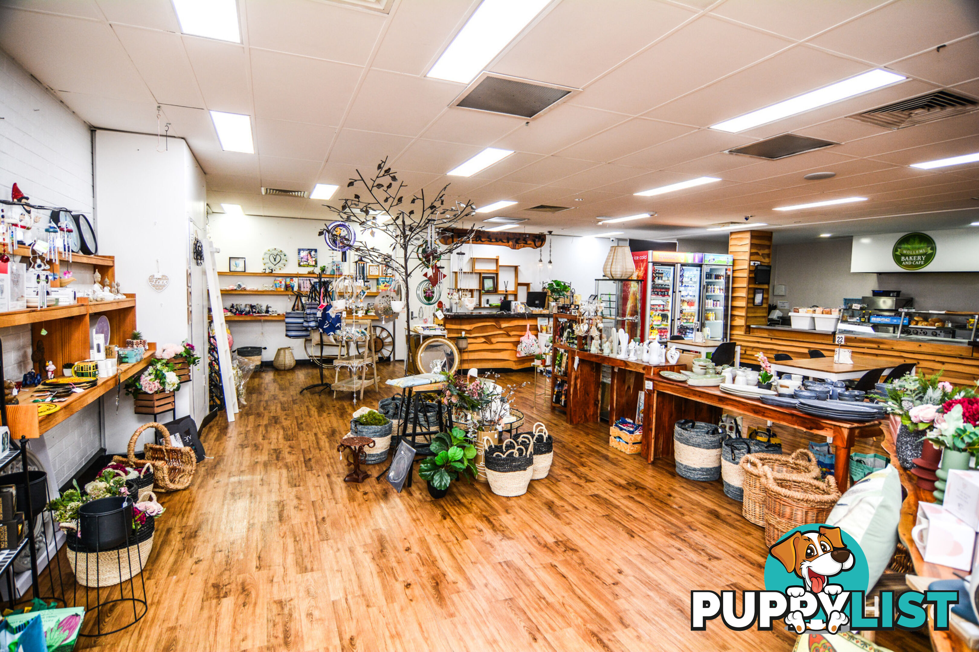 203 Main Street LITHGOW NSW 2790