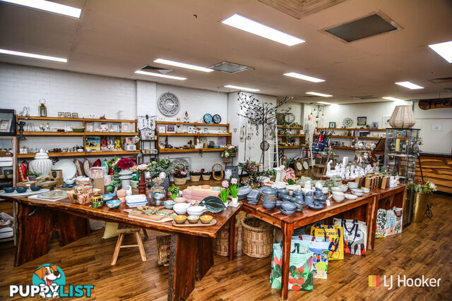 203 Main Street LITHGOW NSW 2790