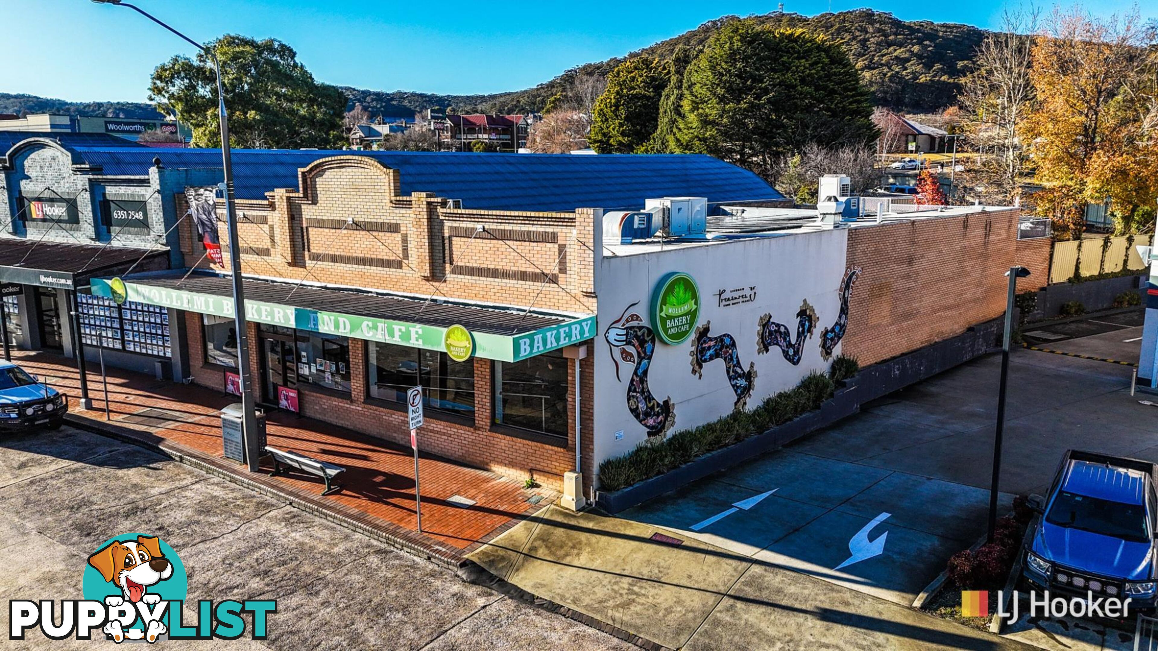 203 Main Street LITHGOW NSW 2790