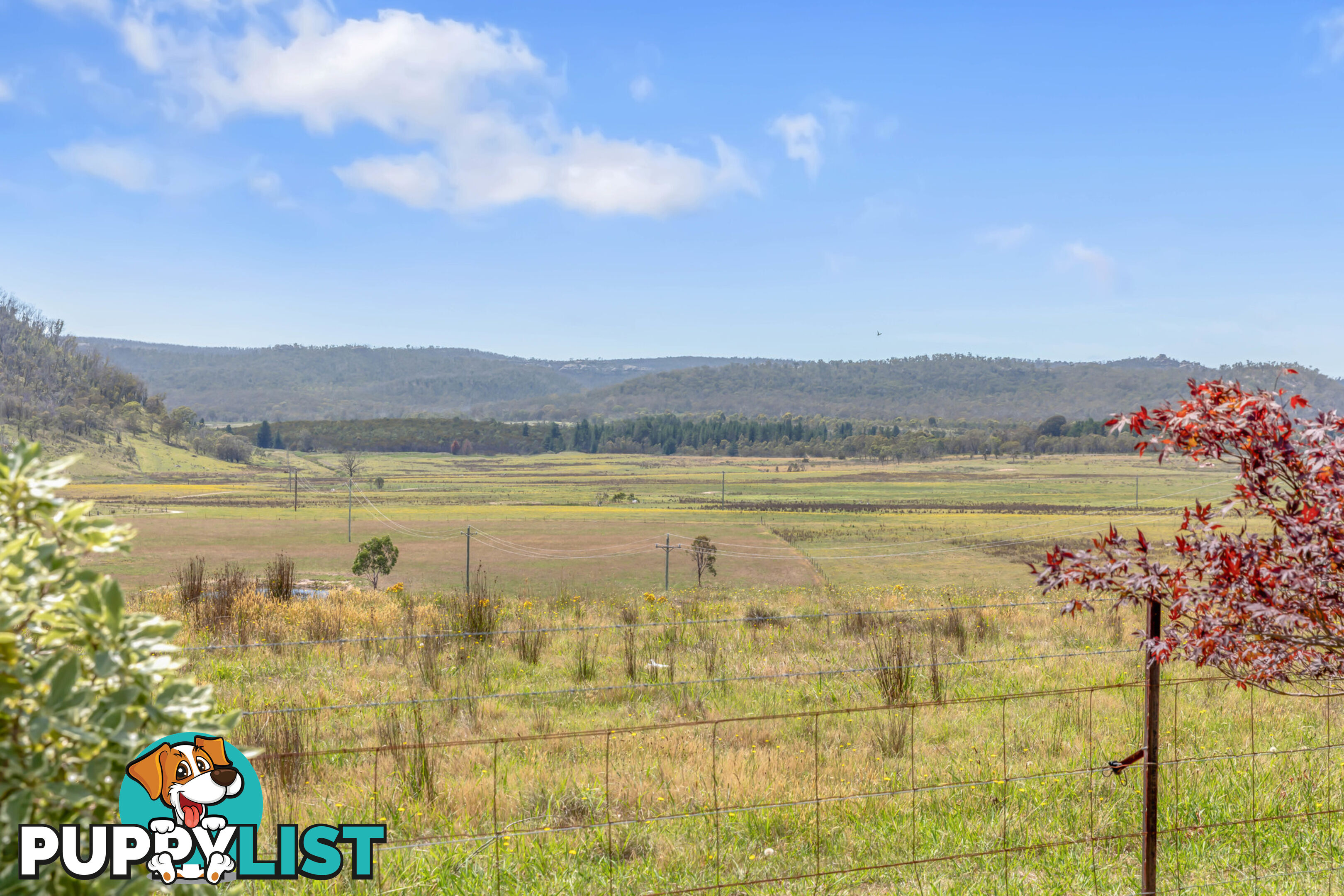 3017 Castlereagh Highway BEN BULLEN NSW 2790