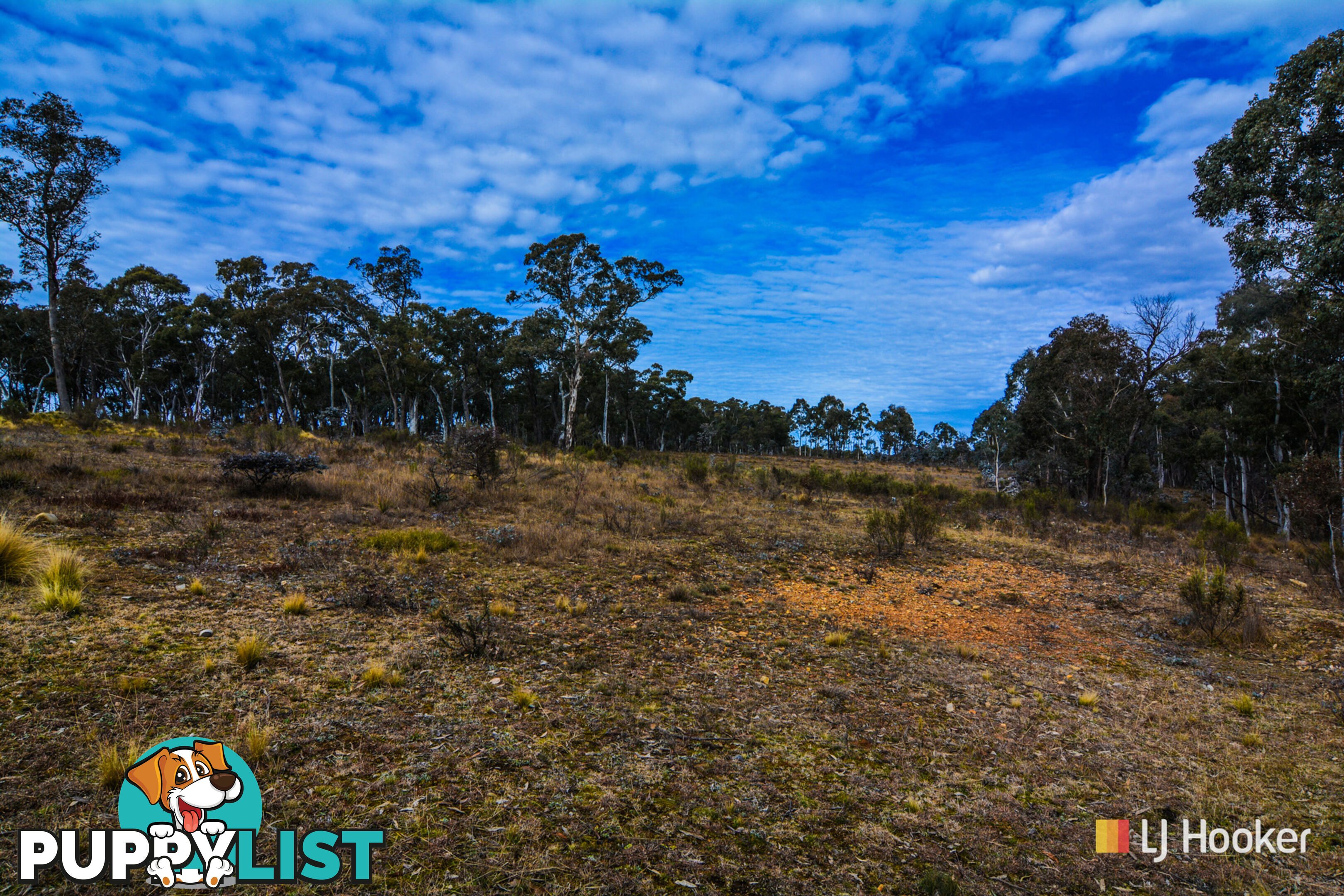 308 Willow Vale Road WALLERAWANG NSW 2845