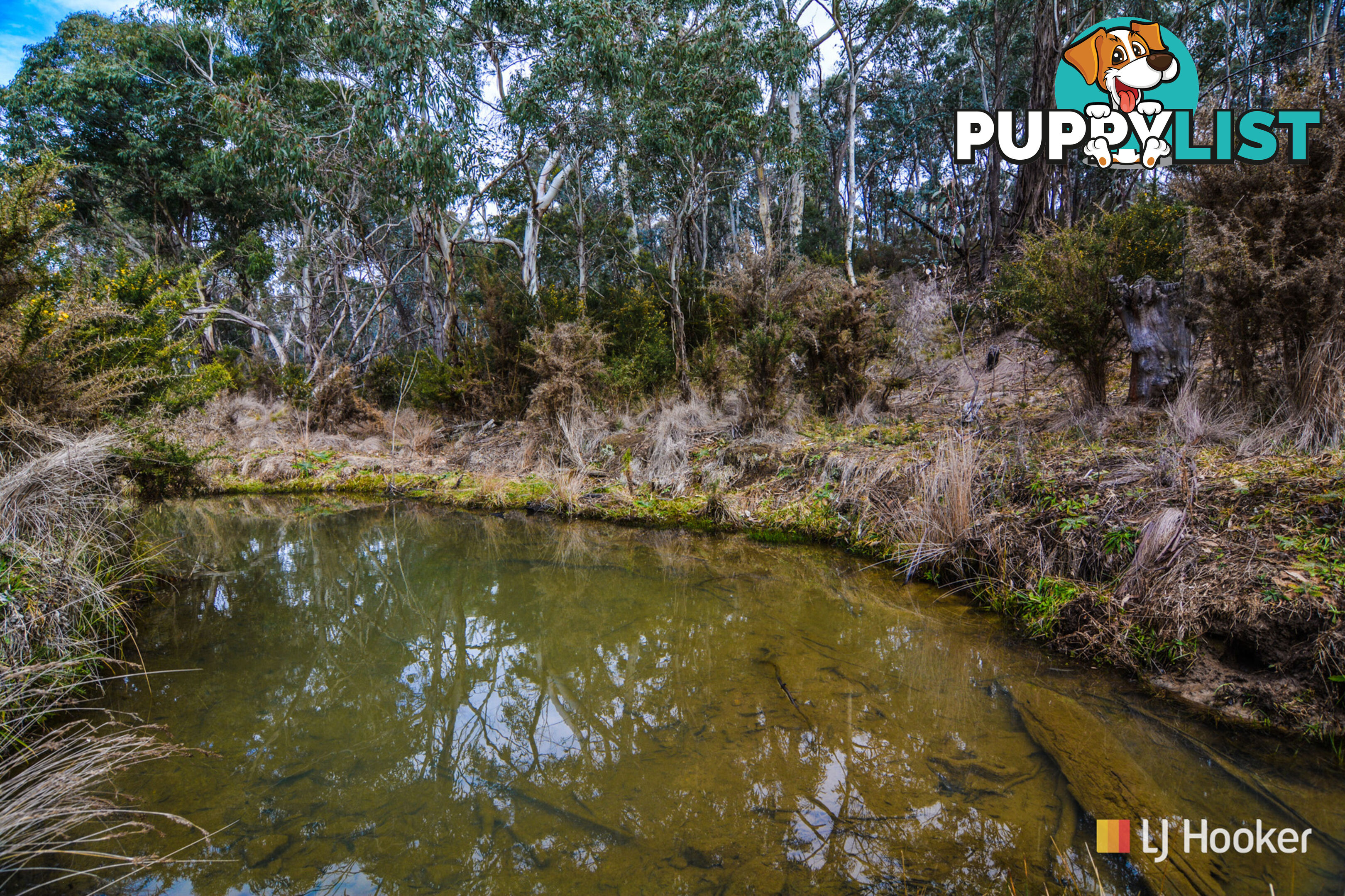 308 Willow Vale Road WALLERAWANG NSW 2845
