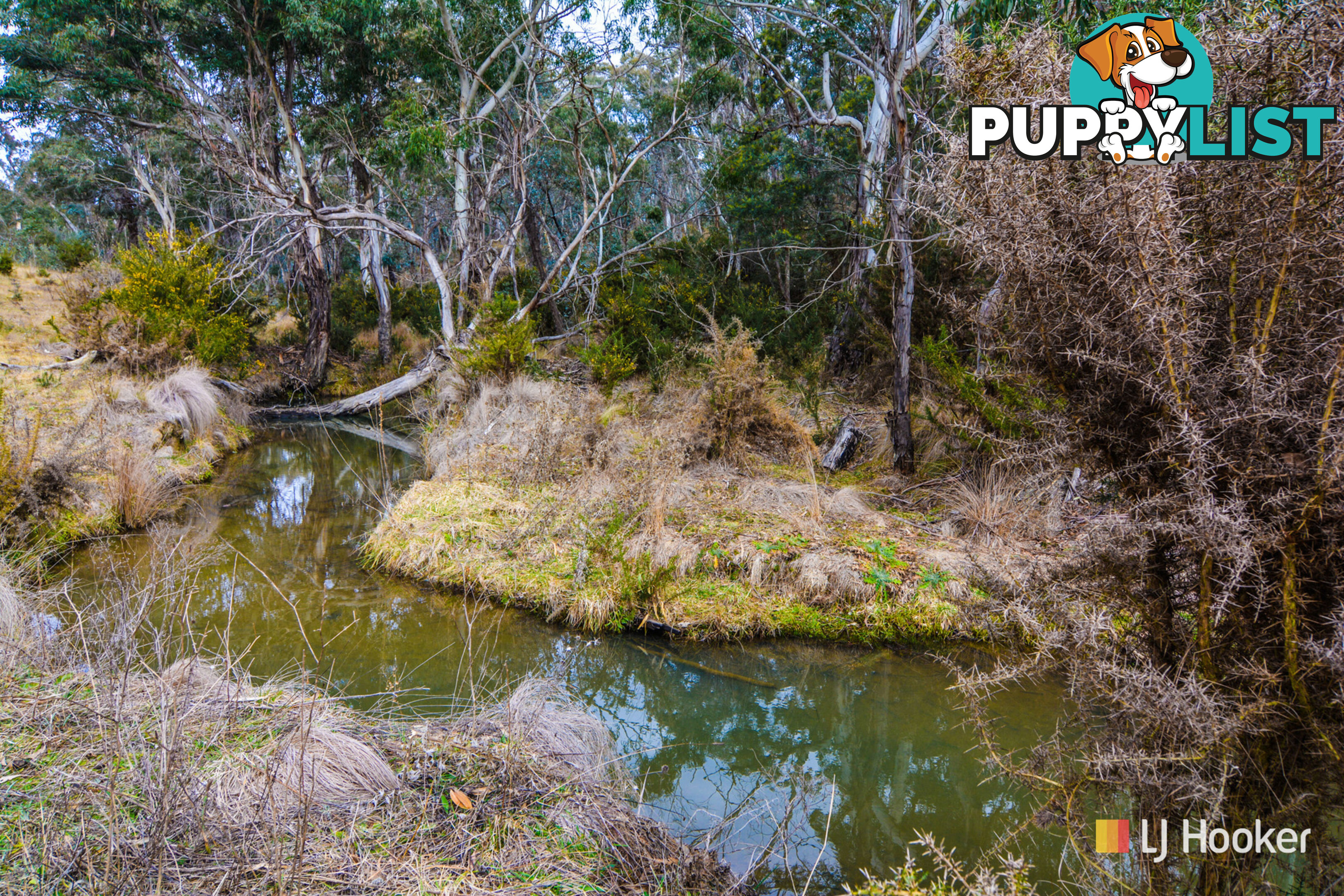 308 Willow Vale Road WALLERAWANG NSW 2845