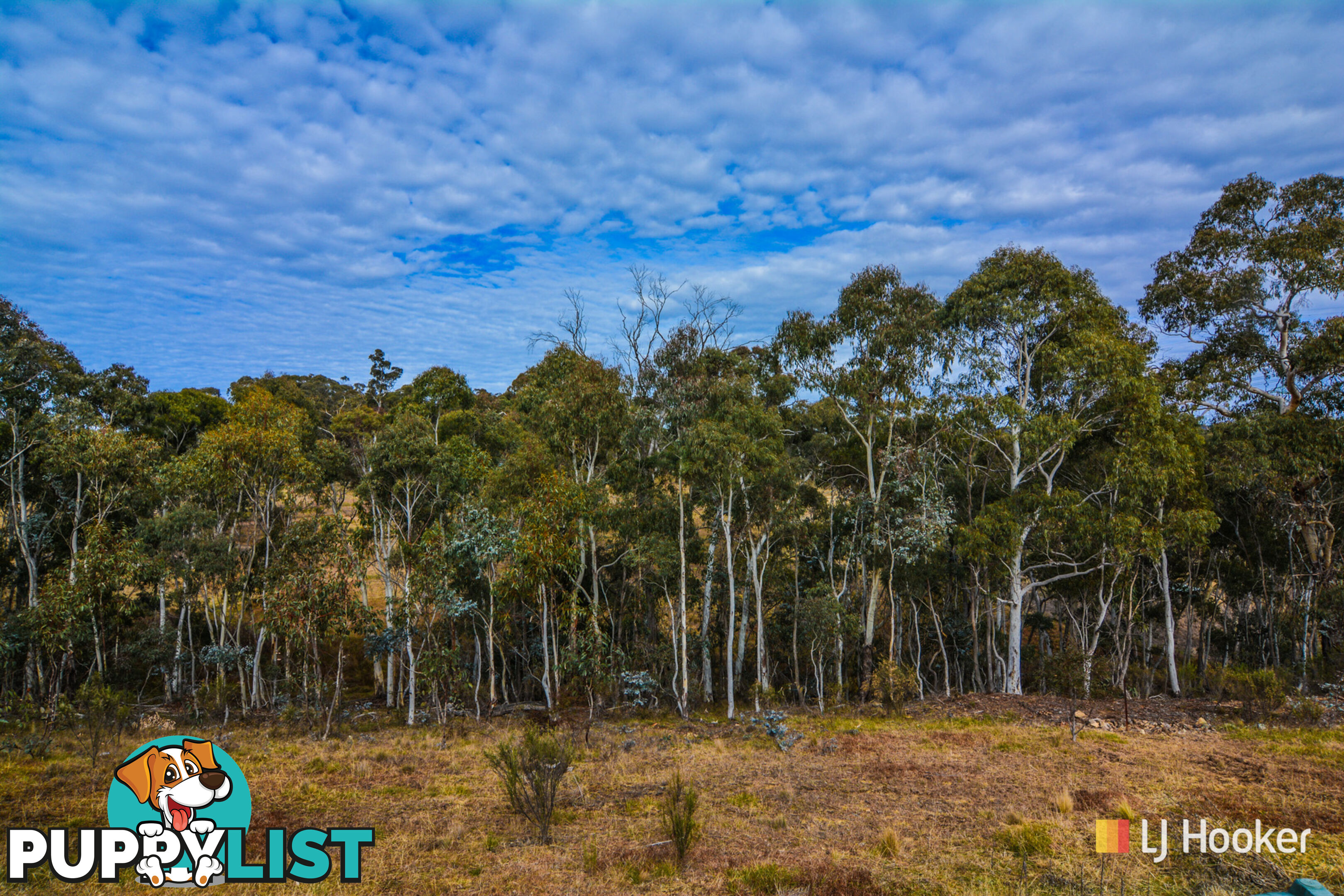 308 Willow Vale Road WALLERAWANG NSW 2845