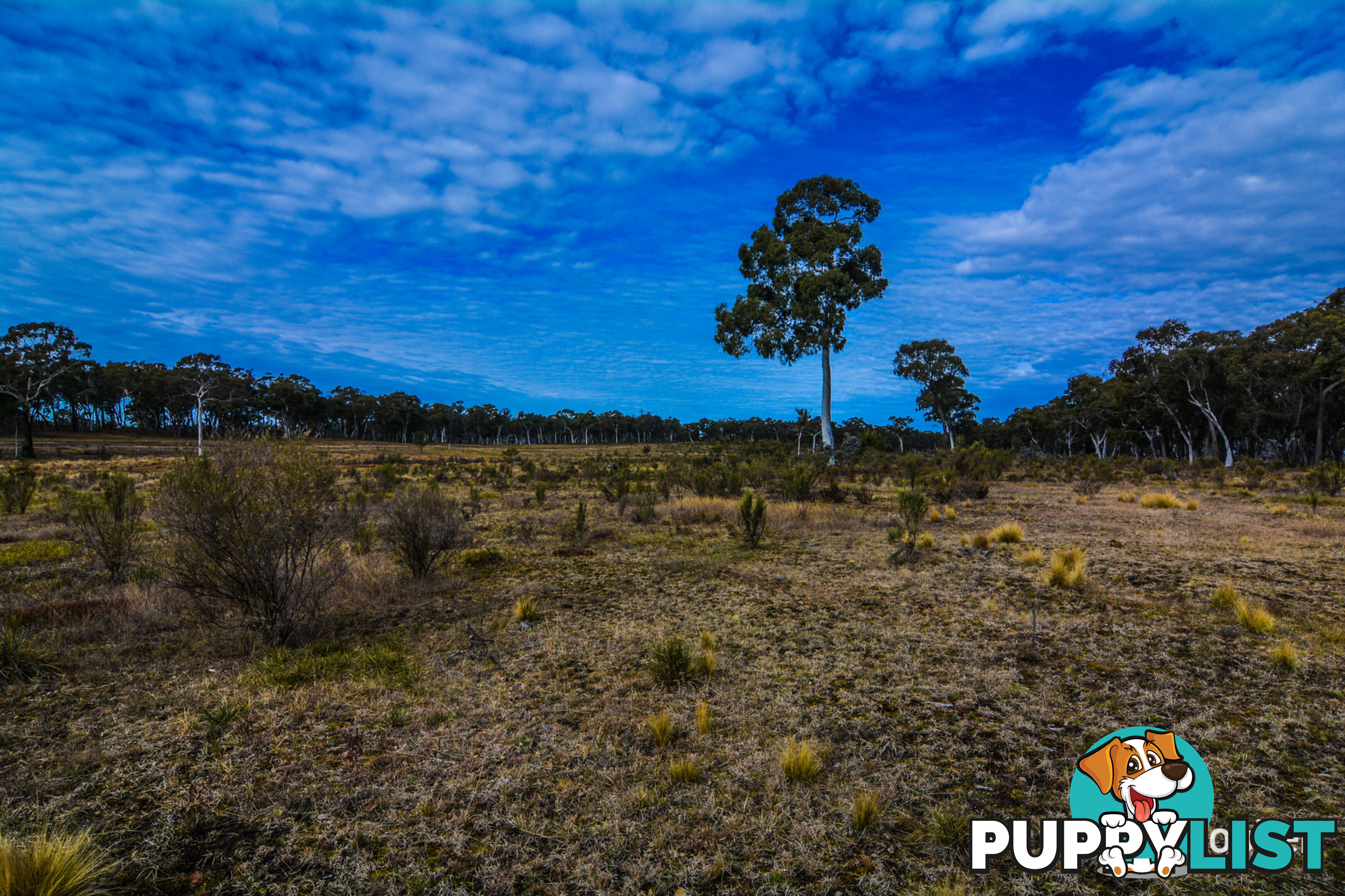 308 Willow Vale Road WALLERAWANG NSW 2845