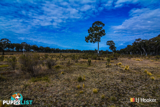 308 Willow Vale Road WALLERAWANG NSW 2845