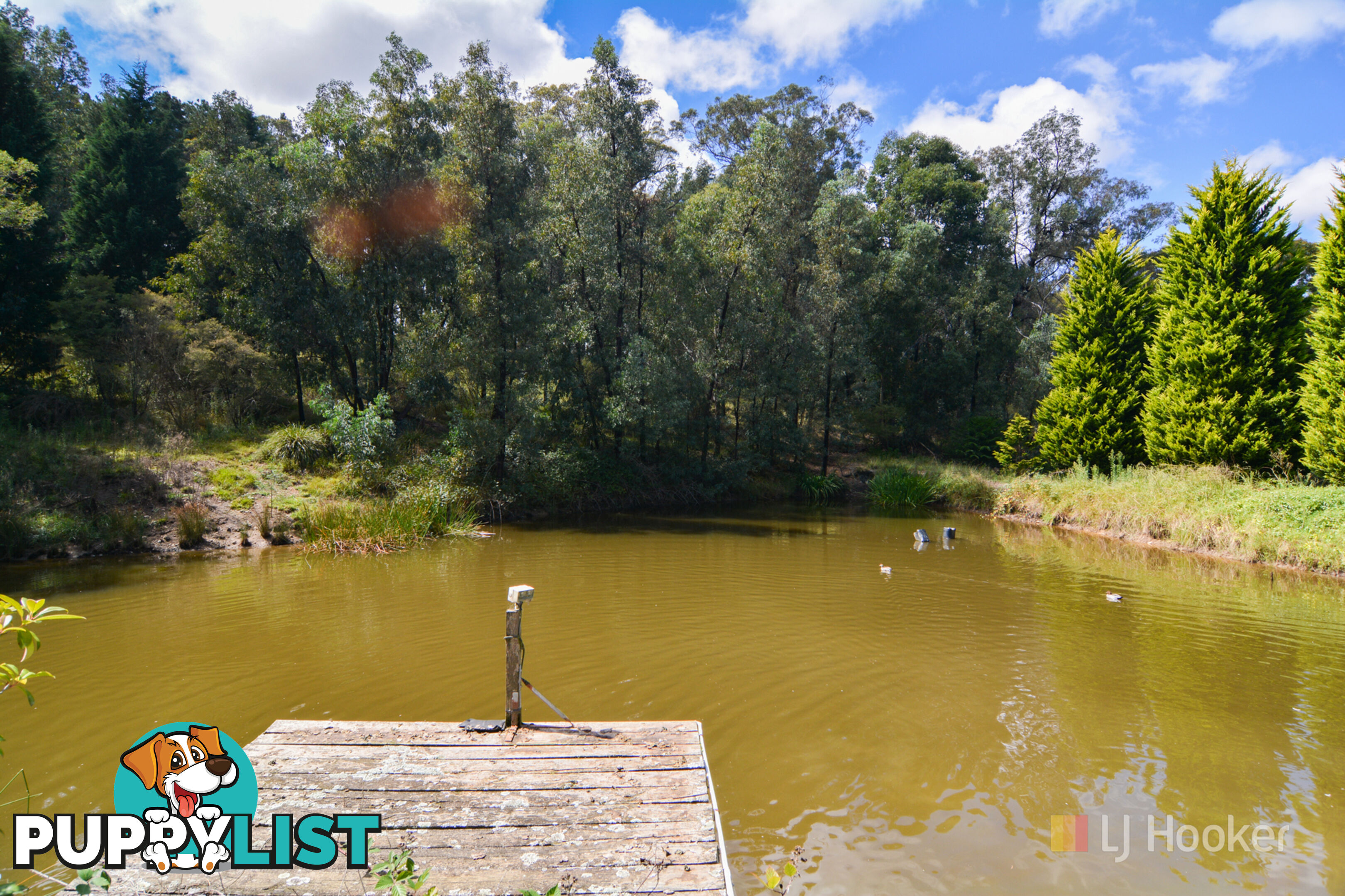 207 Baaners Lane LITTLE HARTLEY NSW 2790