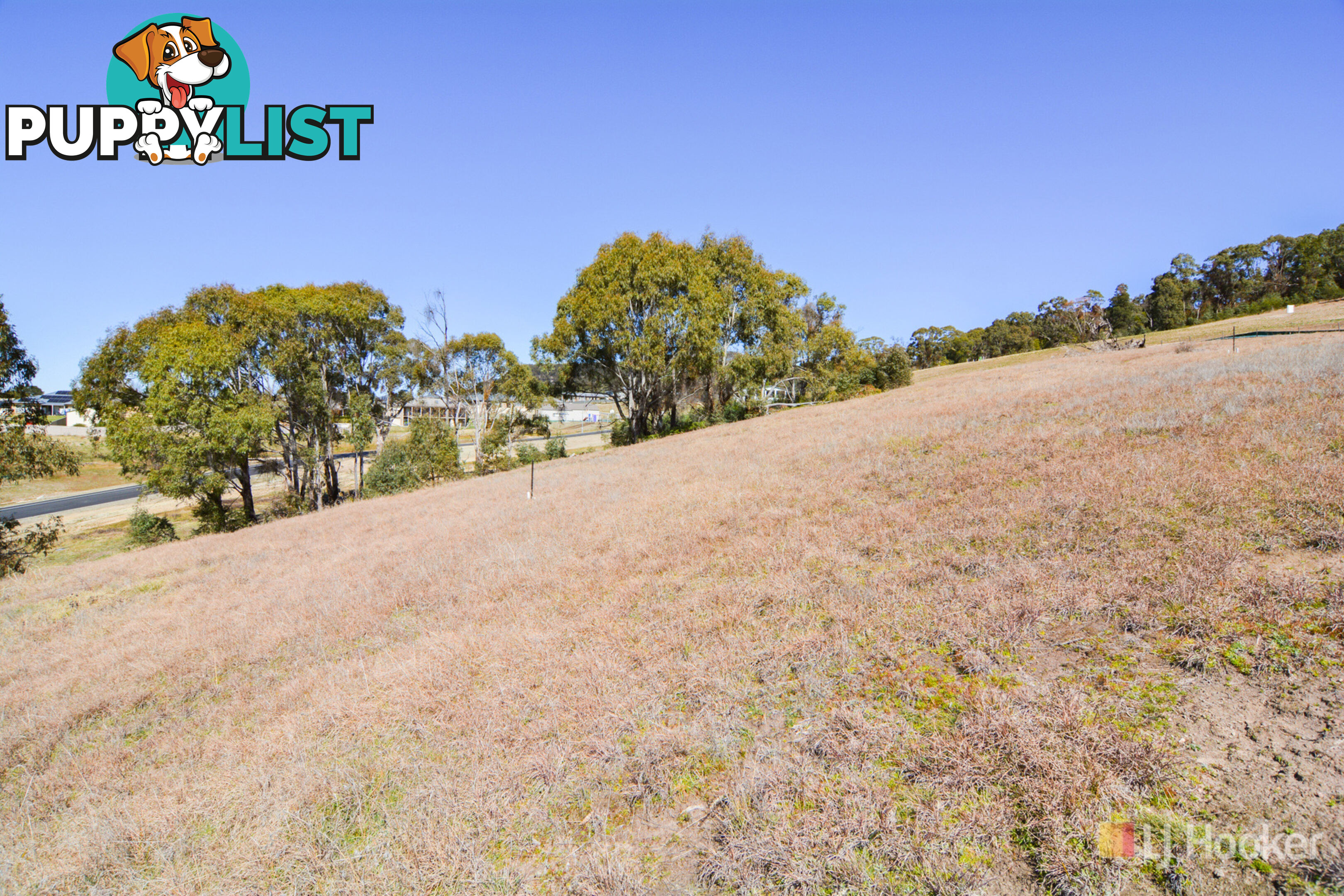 Lot 8 Bowen Vista Estate SOUTH BOWENFELS NSW 2790