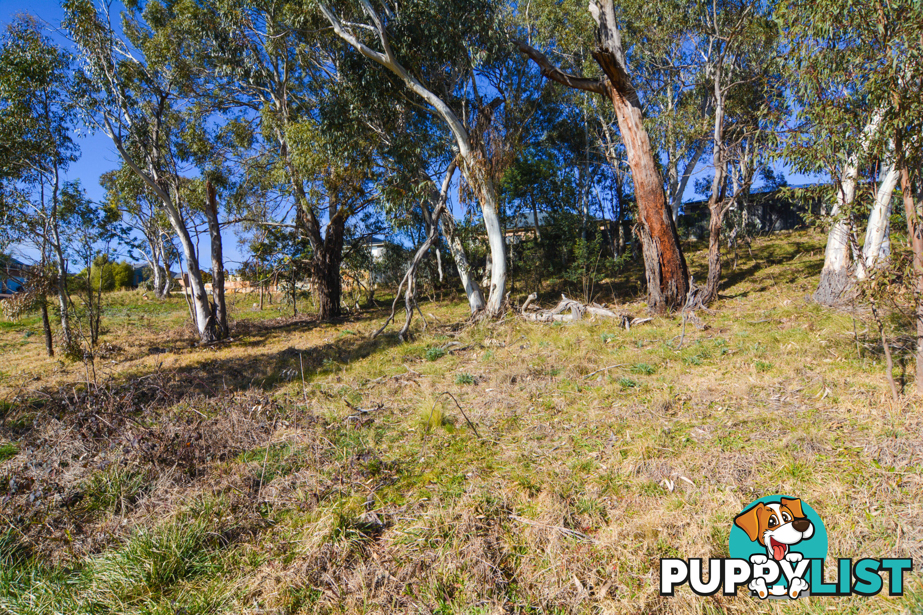 6 James O'Donnell Drive LITHGOW NSW 2790
