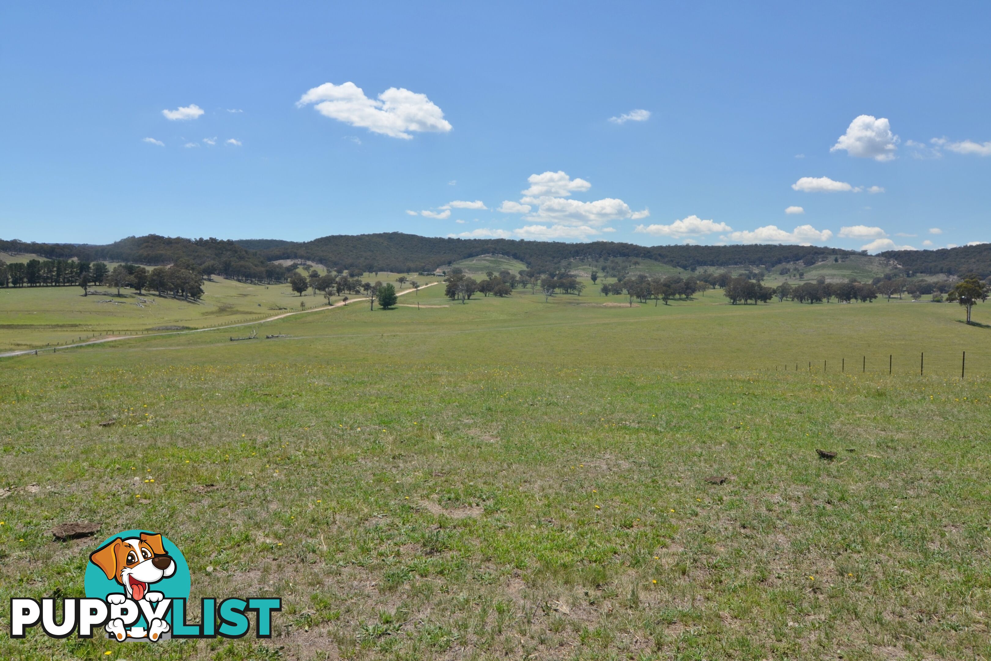 Lot 14 Back Cullen Road PORTLAND NSW 2847