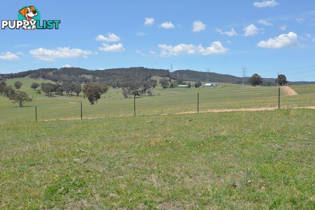 Lot 14 Back Cullen Road PORTLAND NSW 2847