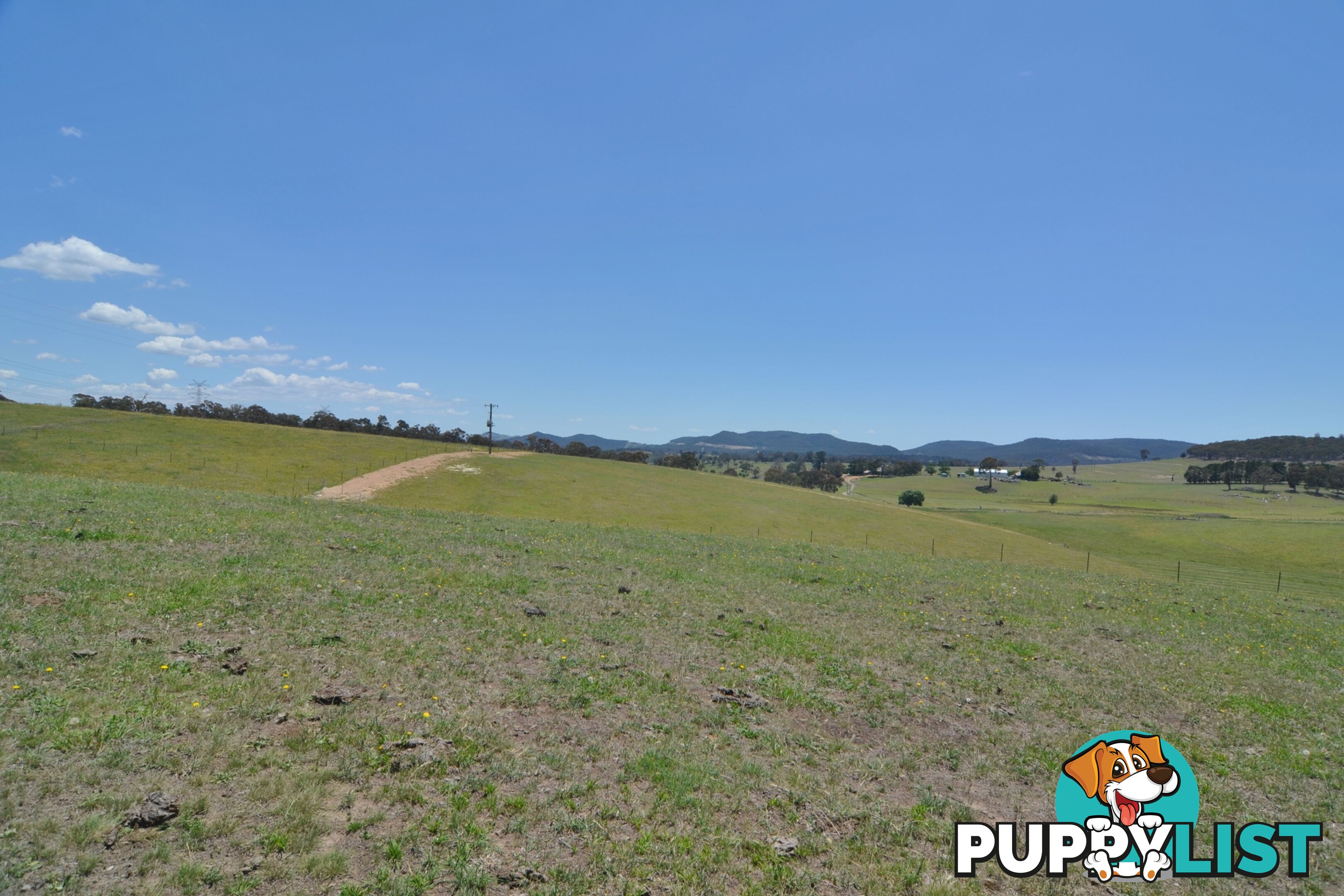 Lot 14 Back Cullen Road PORTLAND NSW 2847