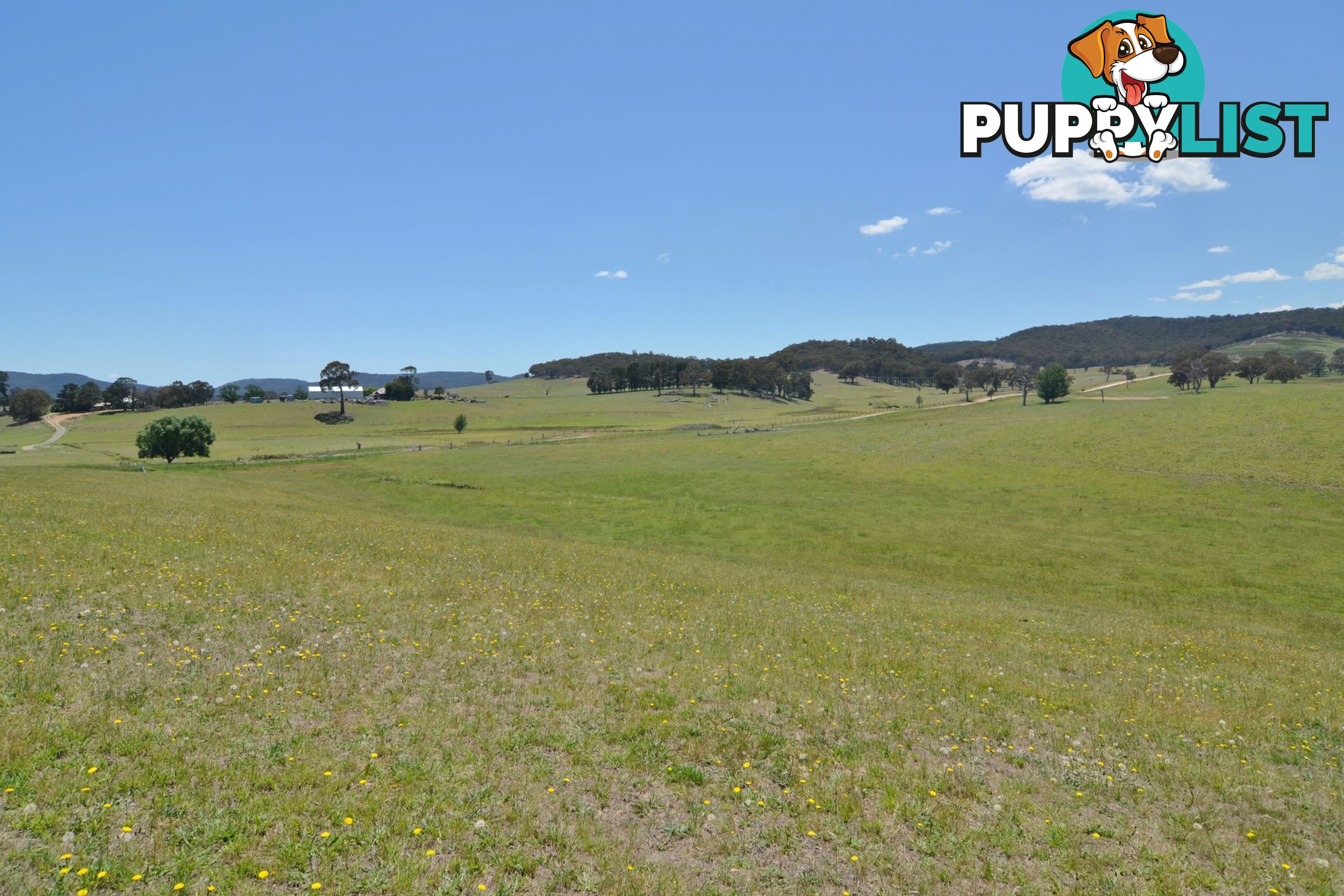 Lot 14 Back Cullen Road PORTLAND NSW 2847