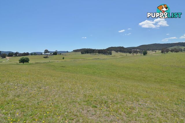 Lot 14 Back Cullen Road PORTLAND NSW 2847