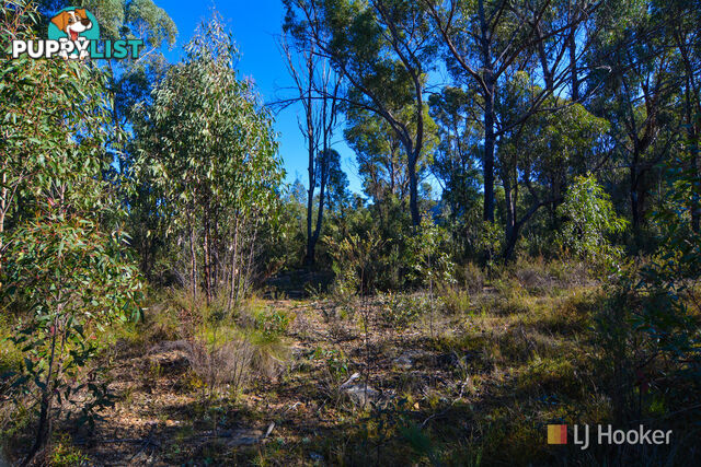 1883 Wolgan Road WOLGAN VALLEY NSW 2790