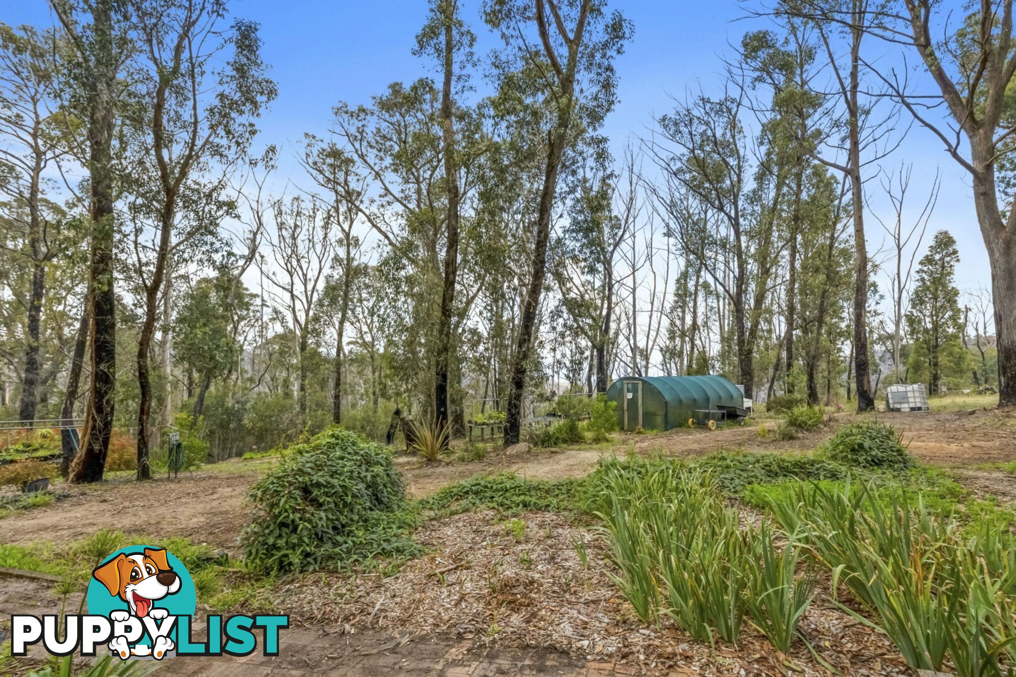 283 Chifley Road DARGAN NSW 2786