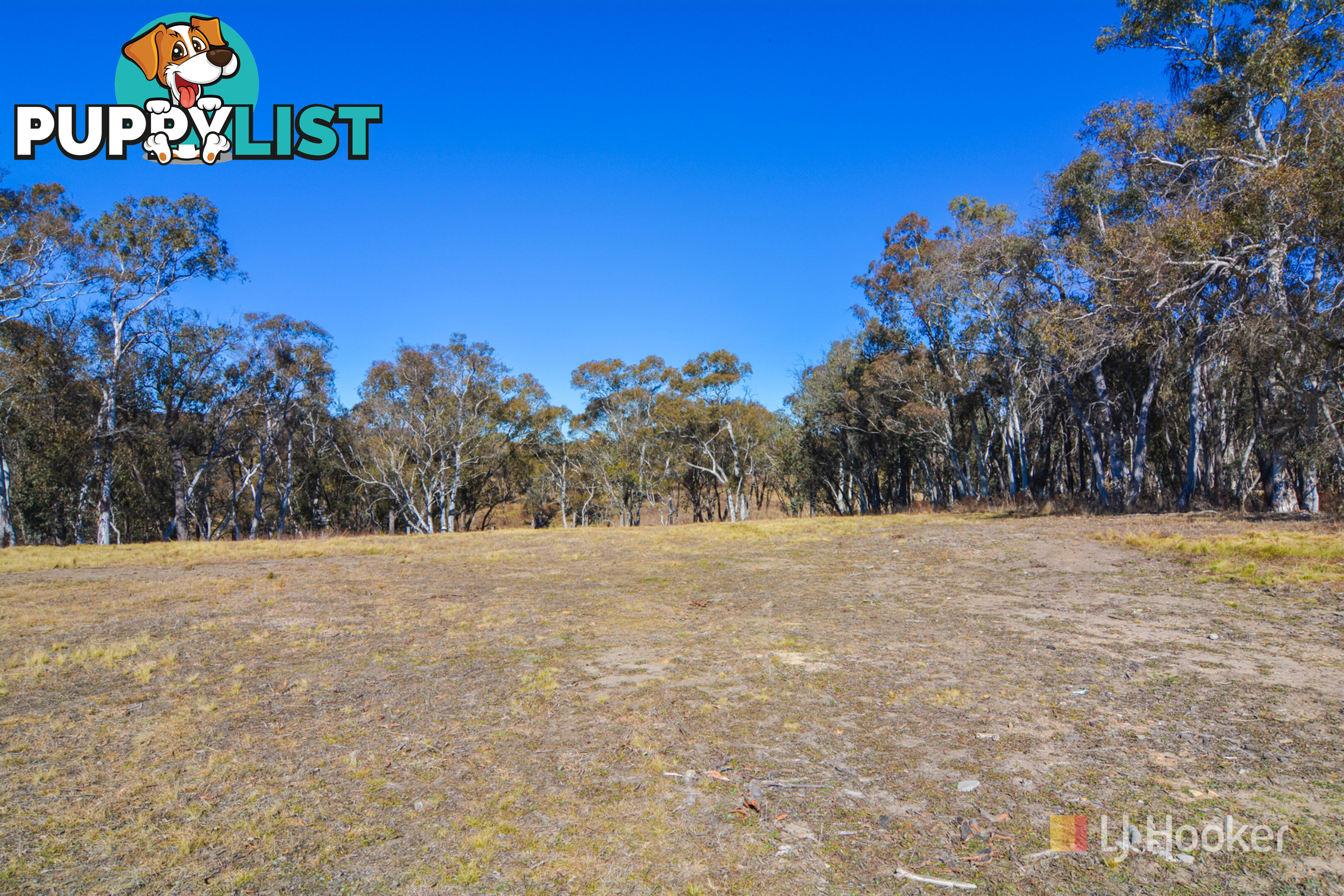 Lot 16 Portland Cullen Bullen Road PORTLAND NSW 2847