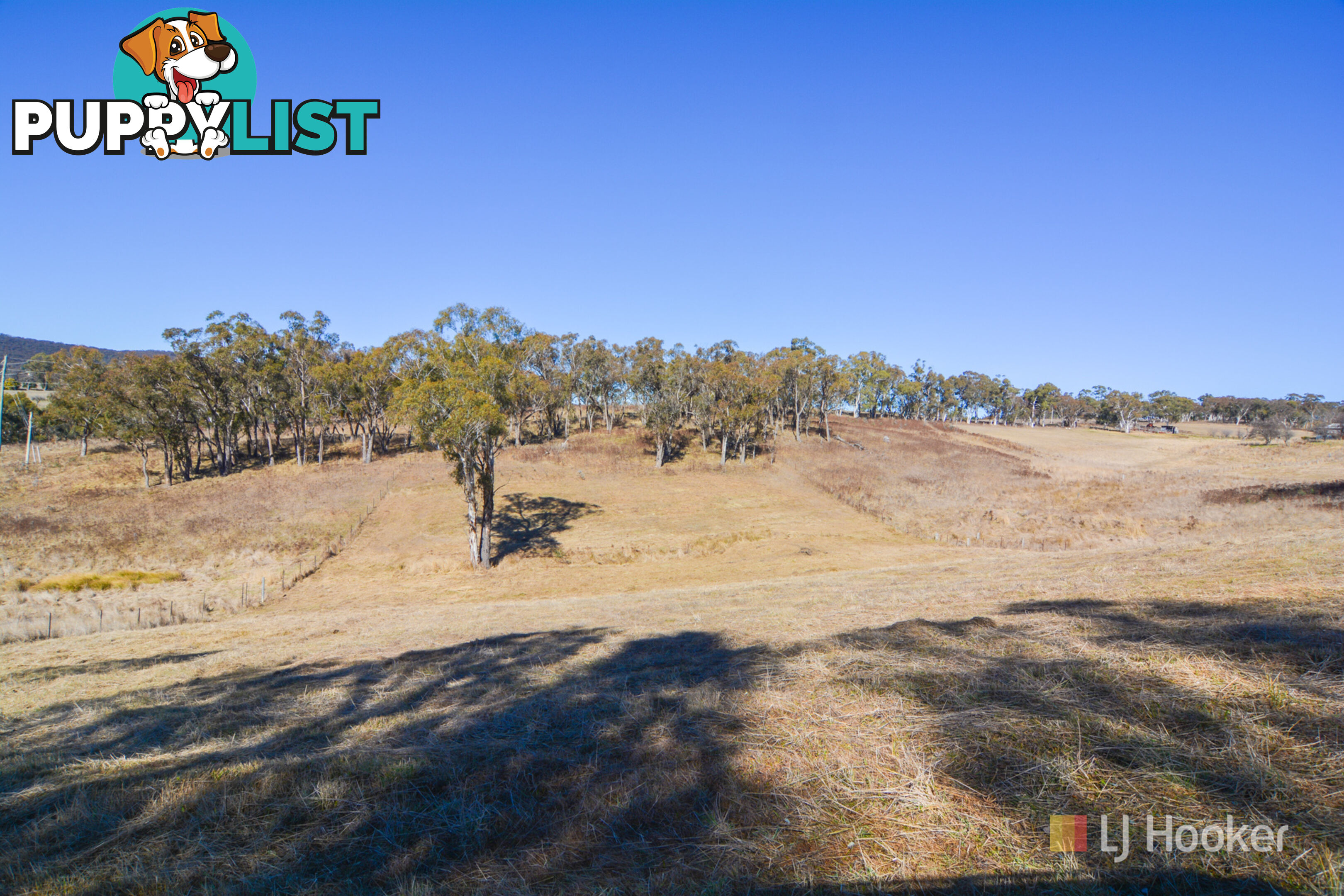 Lot 16 Portland Cullen Bullen Road PORTLAND NSW 2847