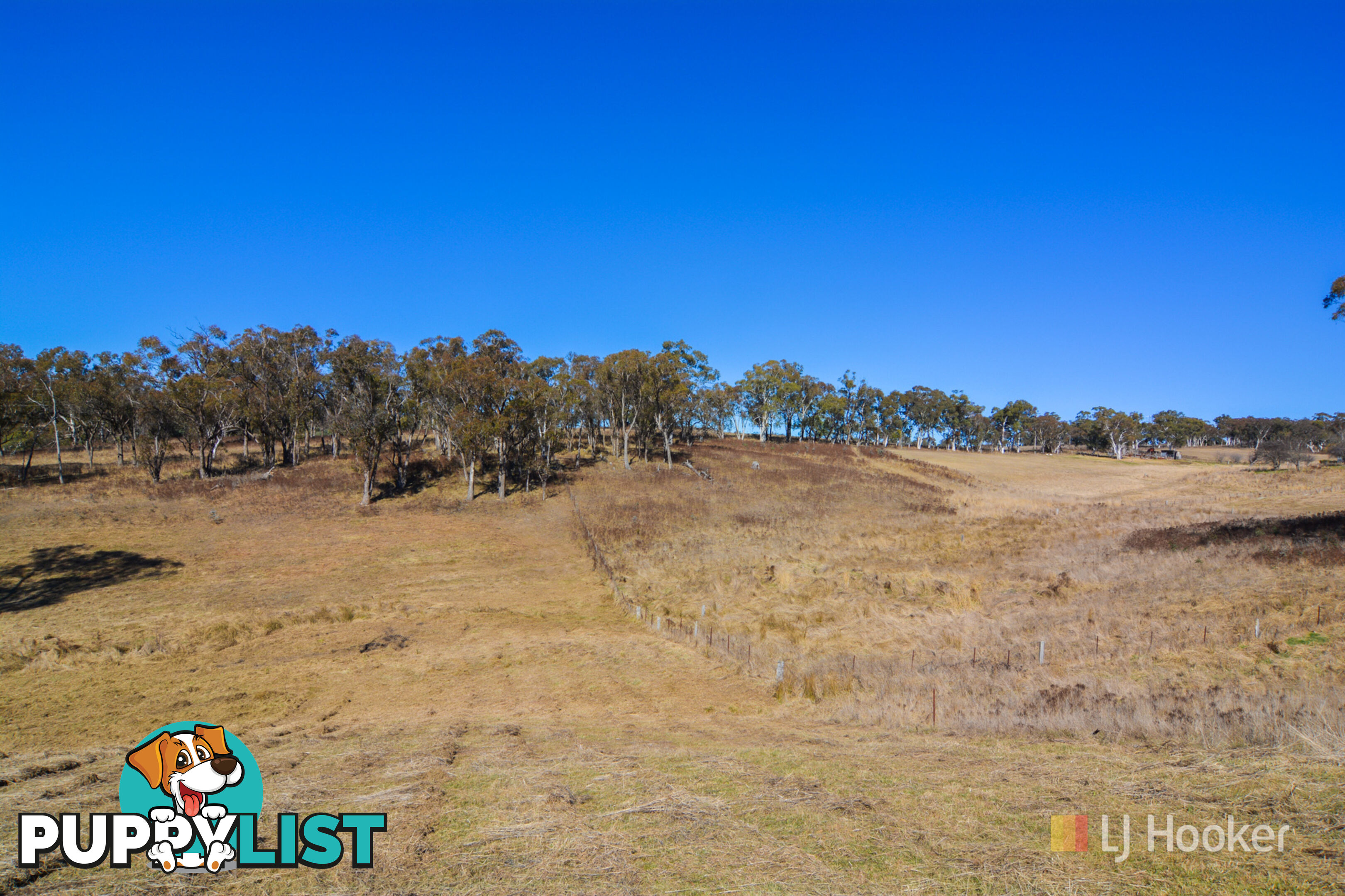 Lot 16 Portland Cullen Bullen Road PORTLAND NSW 2847