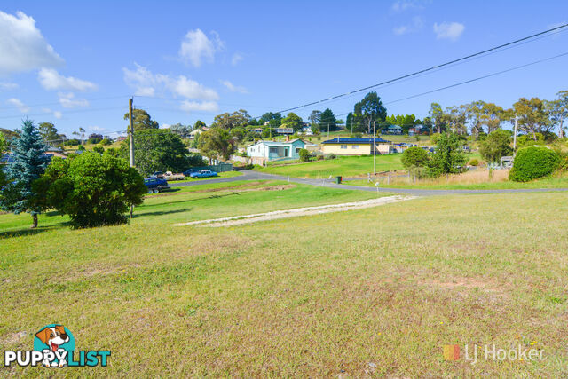 4 Jamieson Street PORTLAND NSW 2847