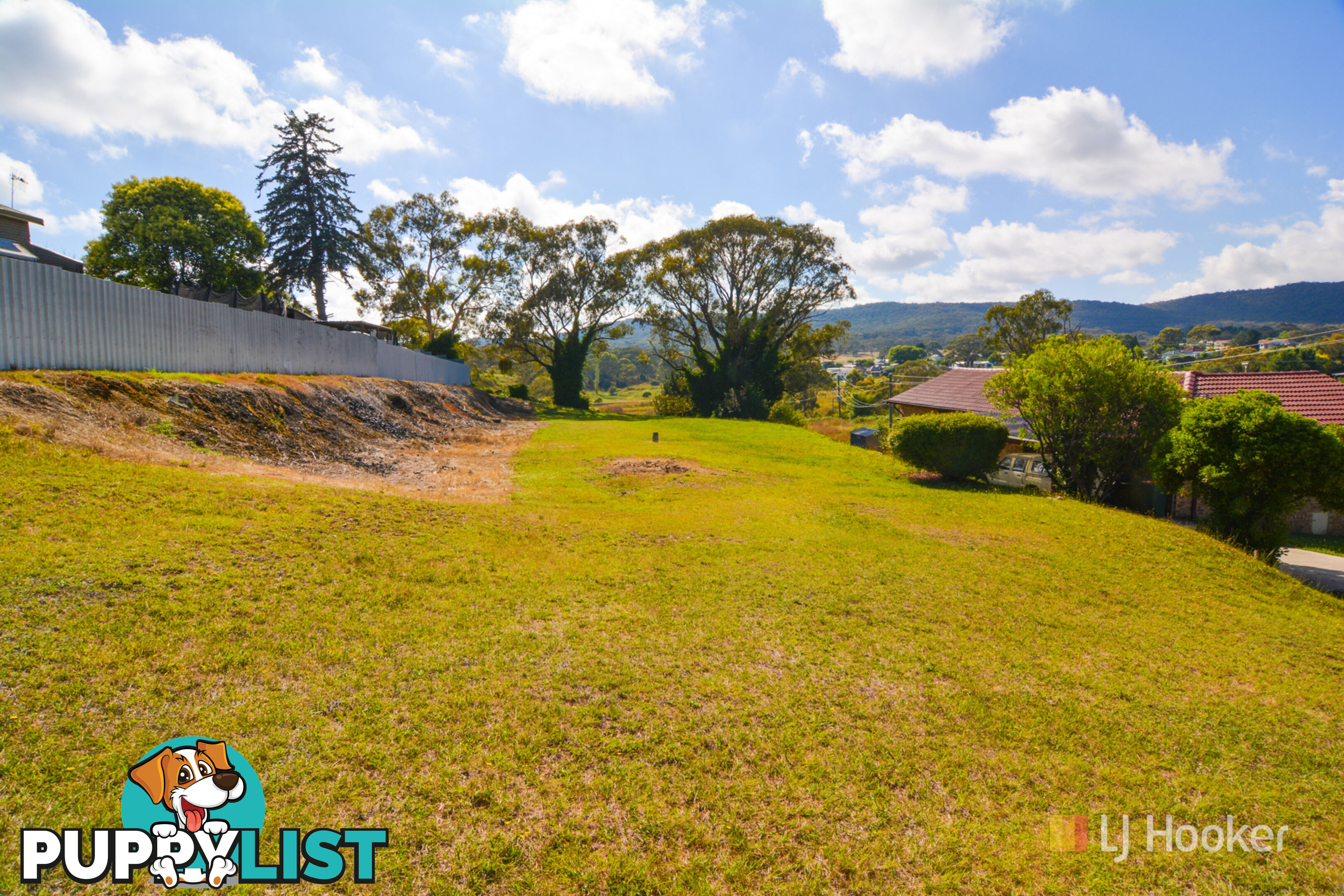 4 Jamieson Street PORTLAND NSW 2847