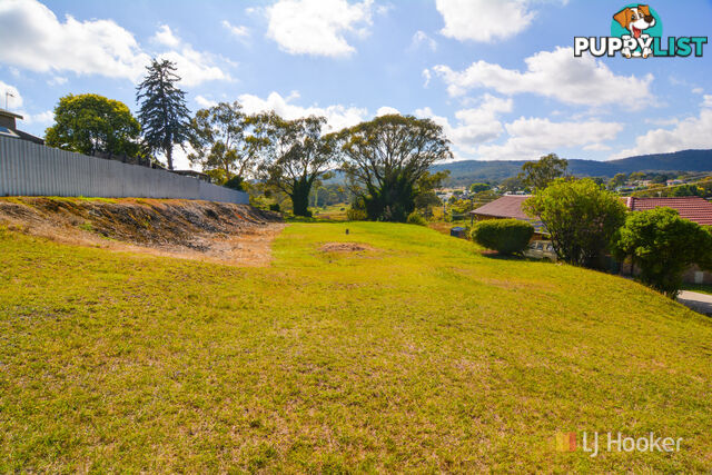 4 Jamieson Street PORTLAND NSW 2847