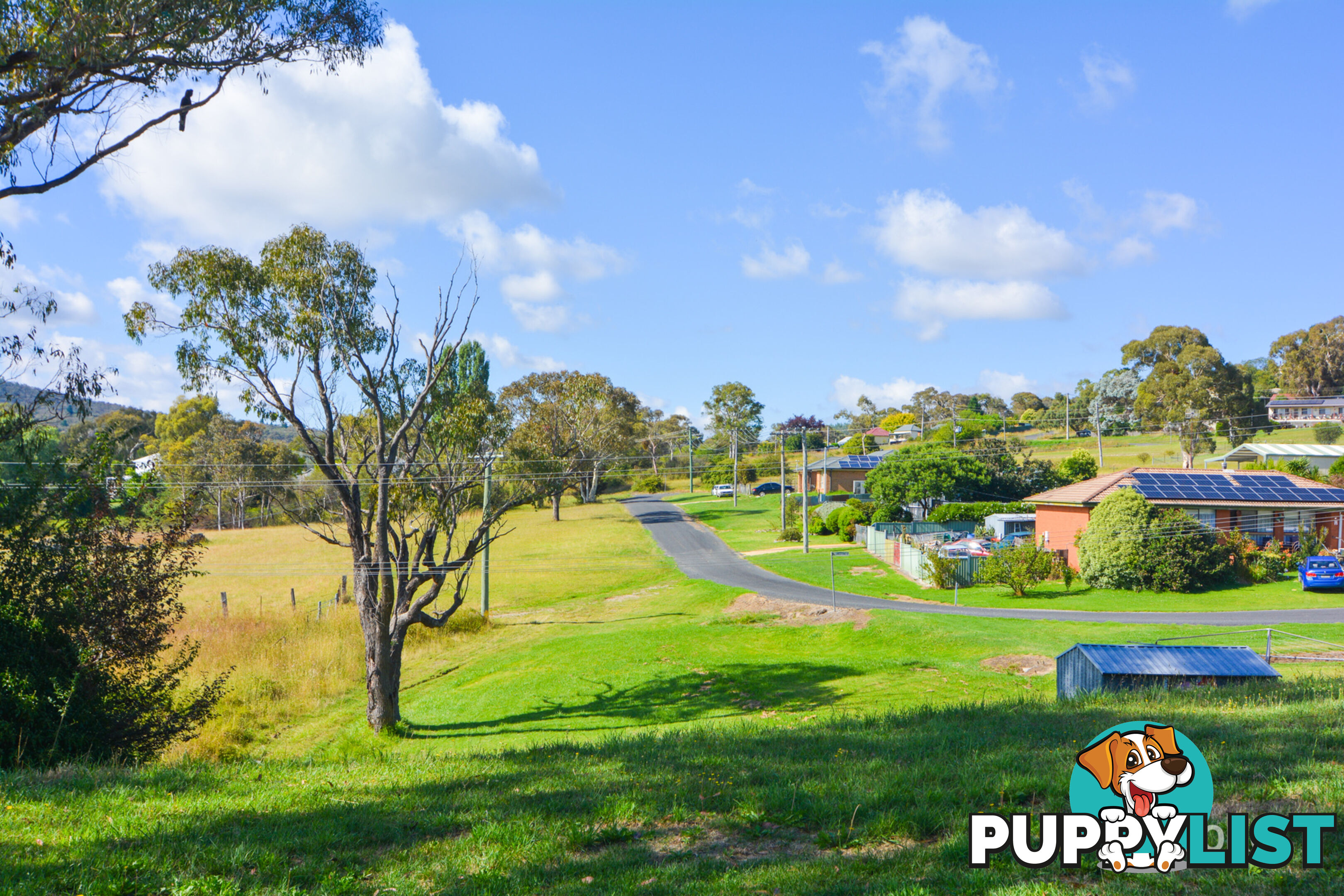 4 Jamieson Street PORTLAND NSW 2847