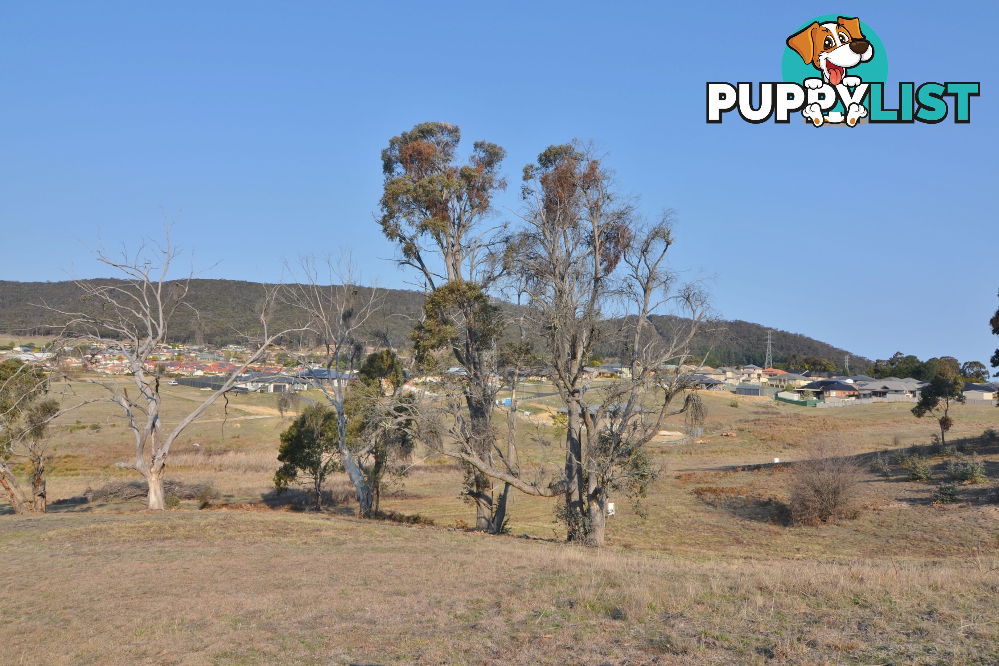 Lot 6/ Bowen Chase LITHGOW NSW 2790