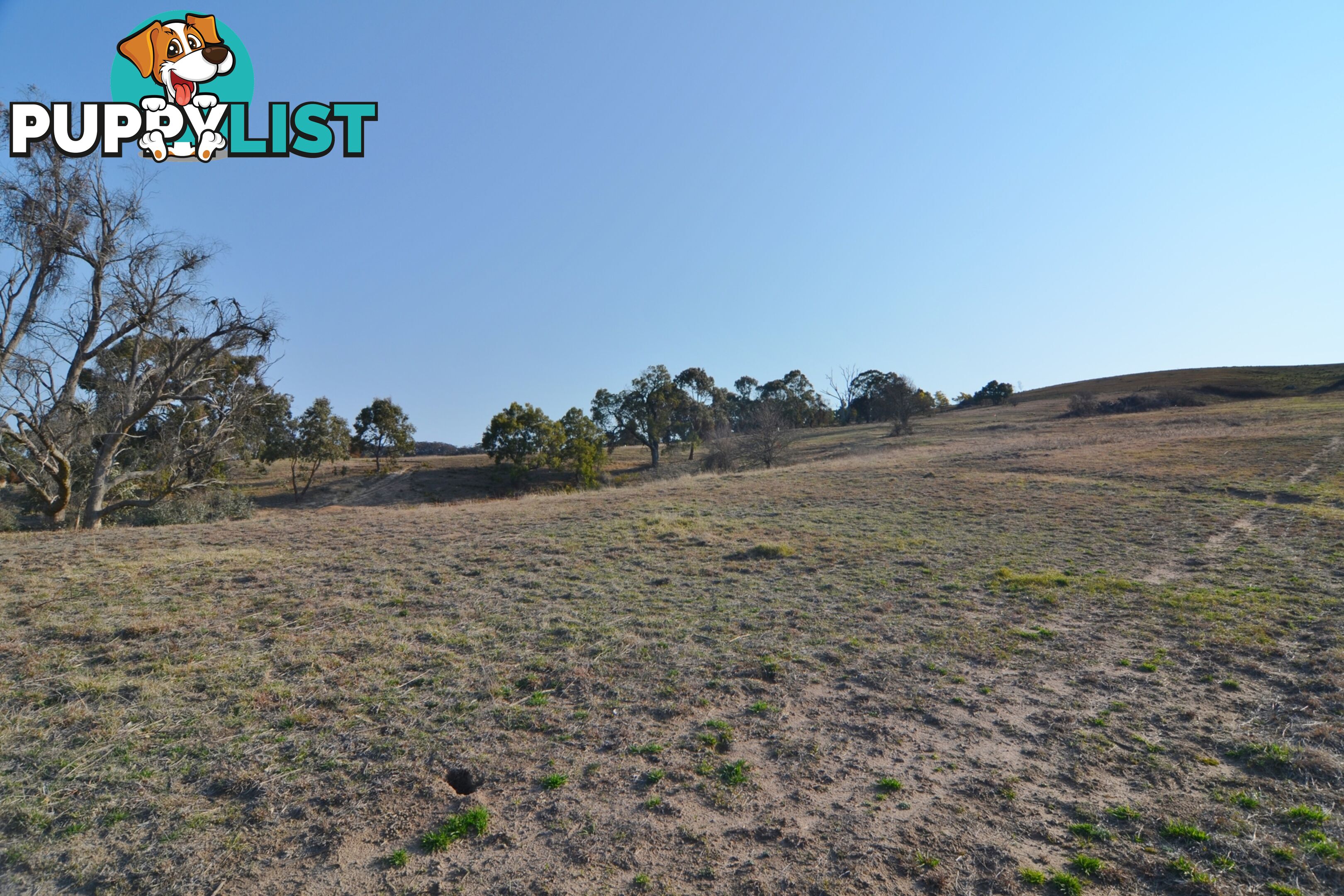 Lot 6/ Bowen Chase LITHGOW NSW 2790