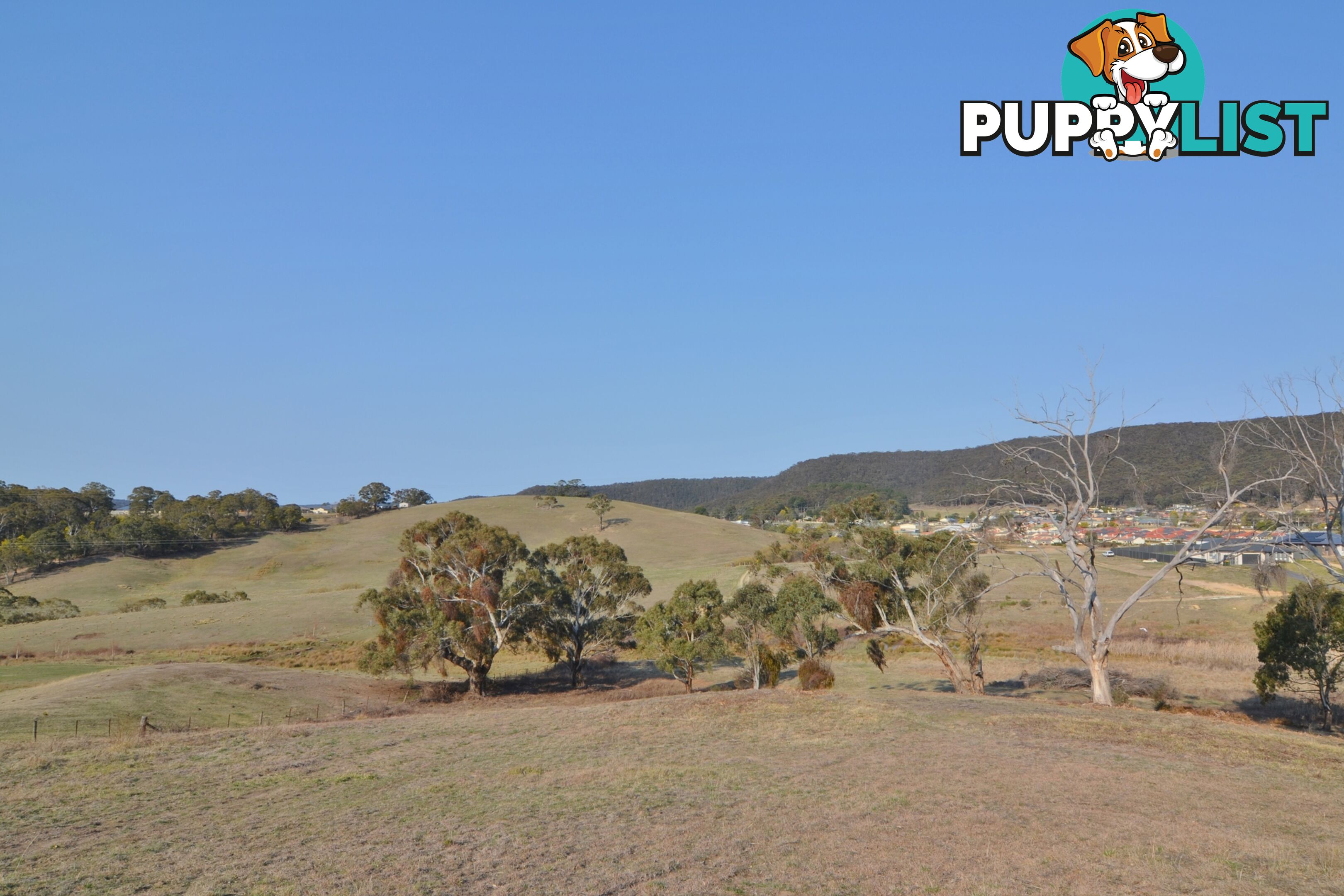 Lot 6/ Bowen Chase LITHGOW NSW 2790