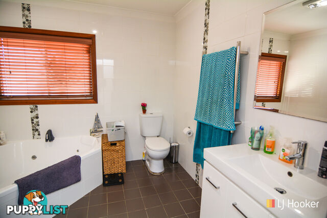 61 Coalbrook Street LITHGOW NSW 2790