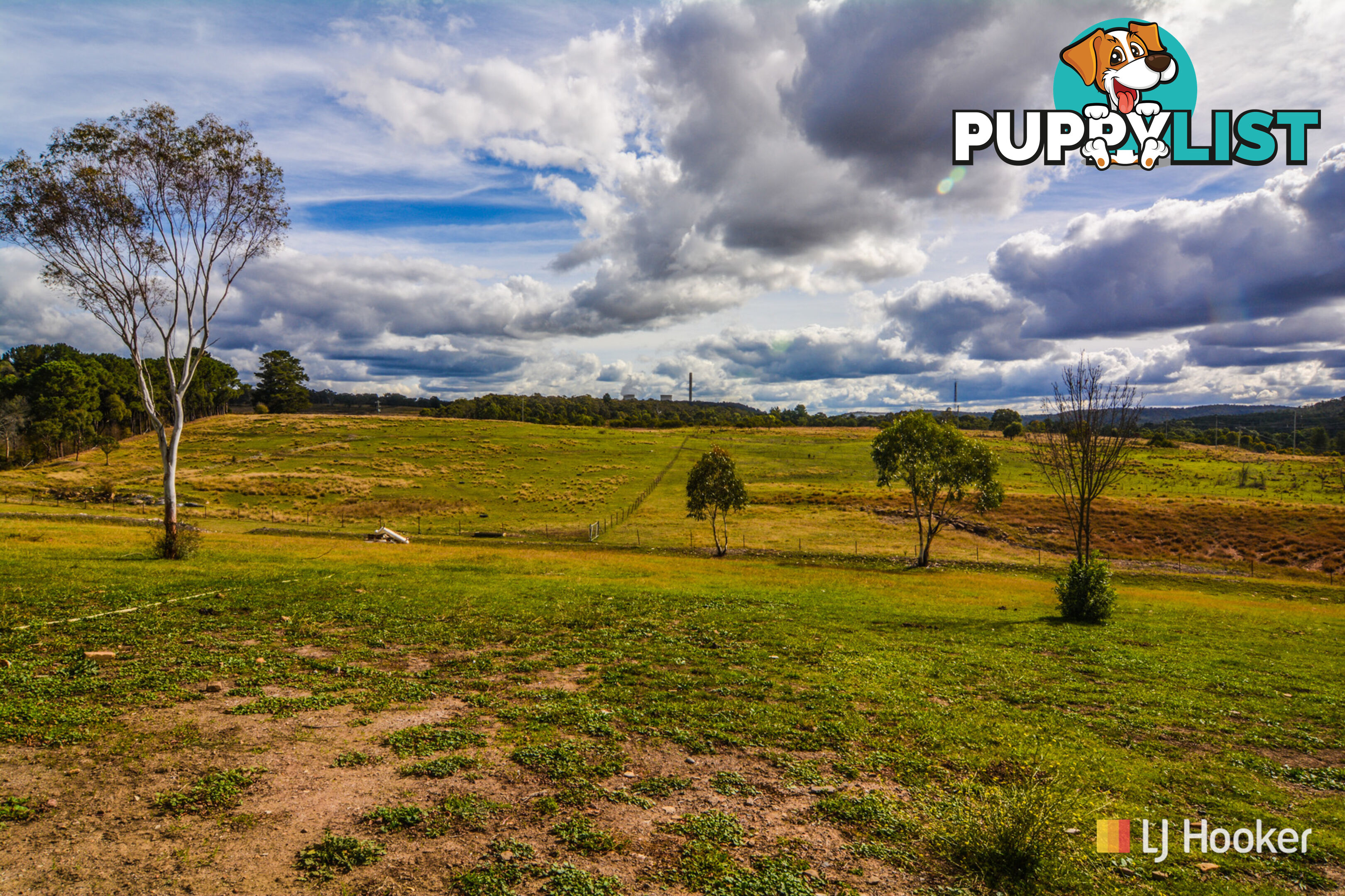1449 Castlereagh Highway LIDSDALE NSW 2790