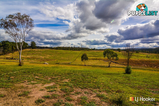 1449 Castlereagh Highway LIDSDALE NSW 2790