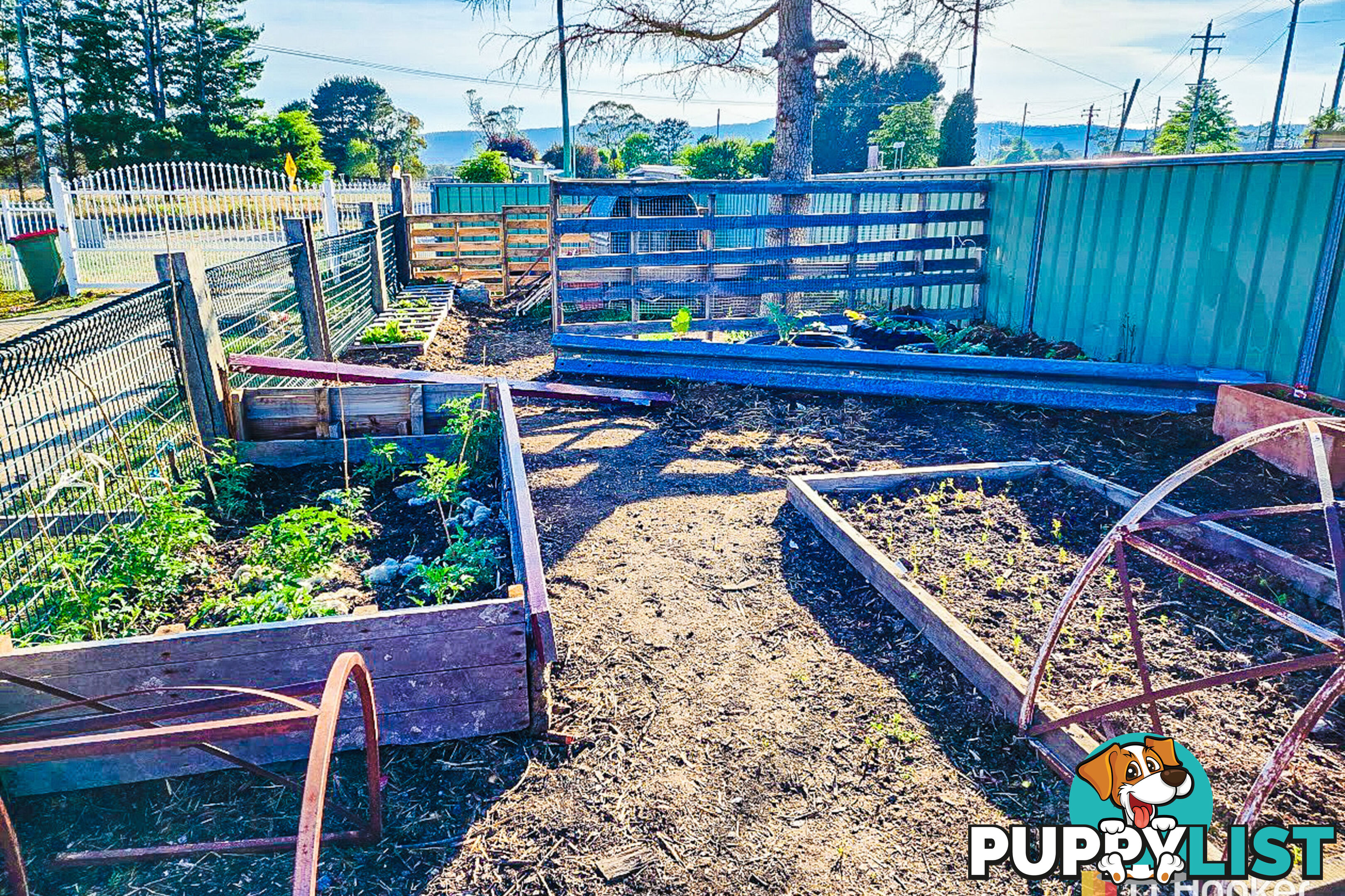 1449 Castlereagh Highway LIDSDALE NSW 2790