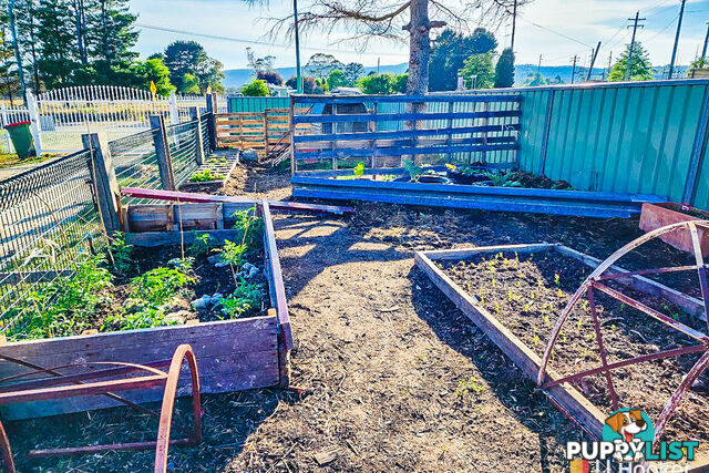 1449 Castlereagh Highway LIDSDALE NSW 2790