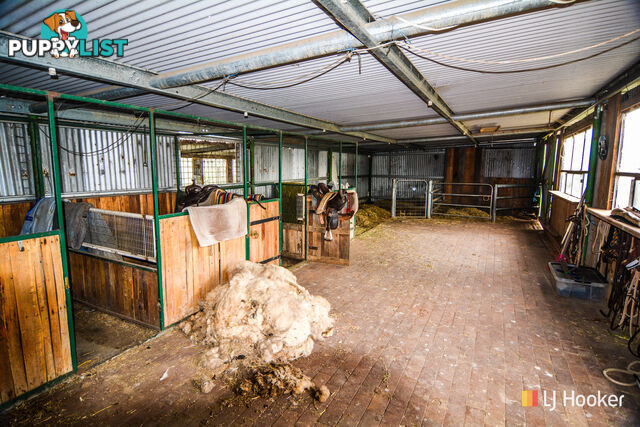 1449 Castlereagh Highway LIDSDALE NSW 2790