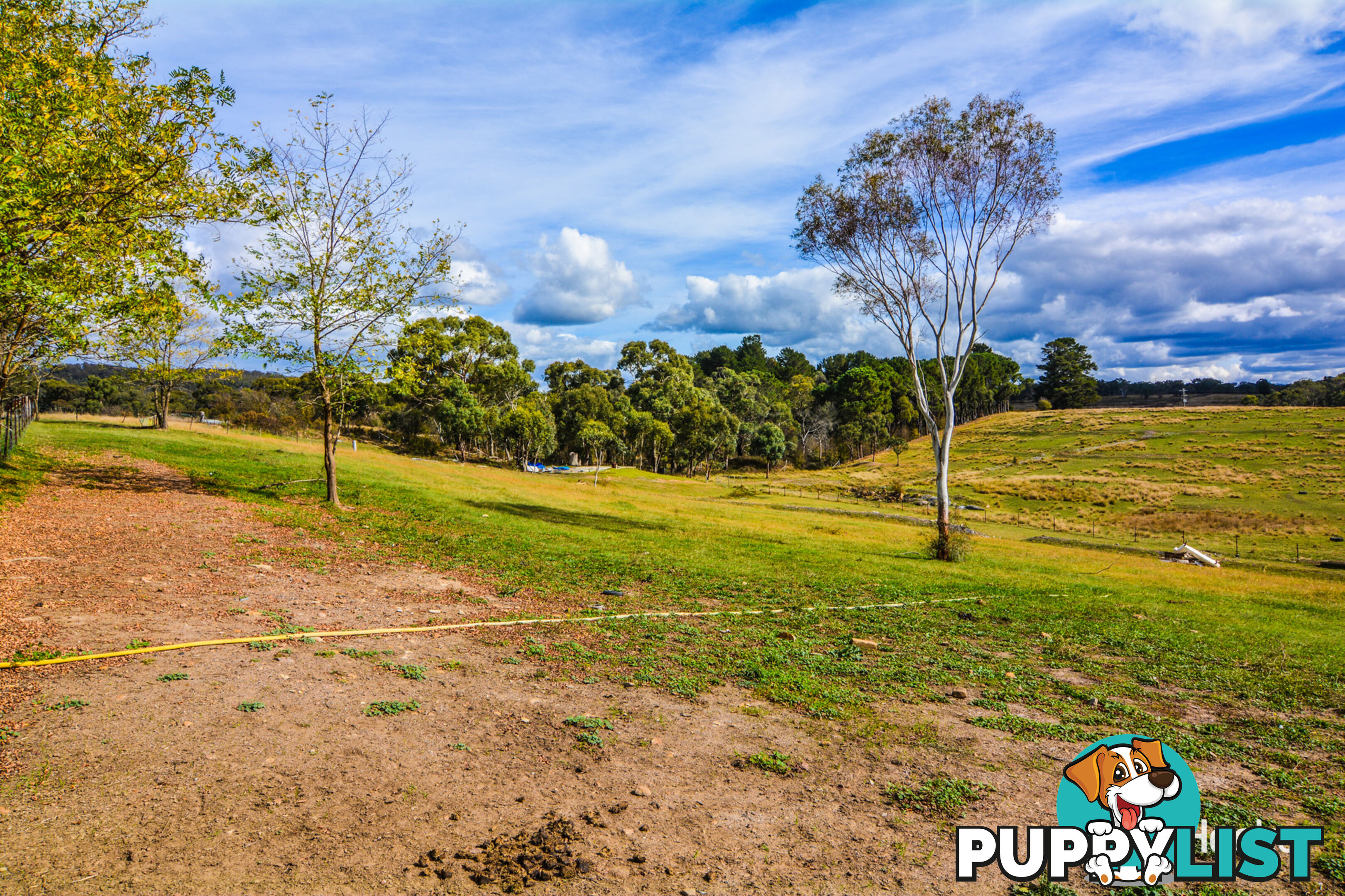 1449 Castlereagh Highway LIDSDALE NSW 2790