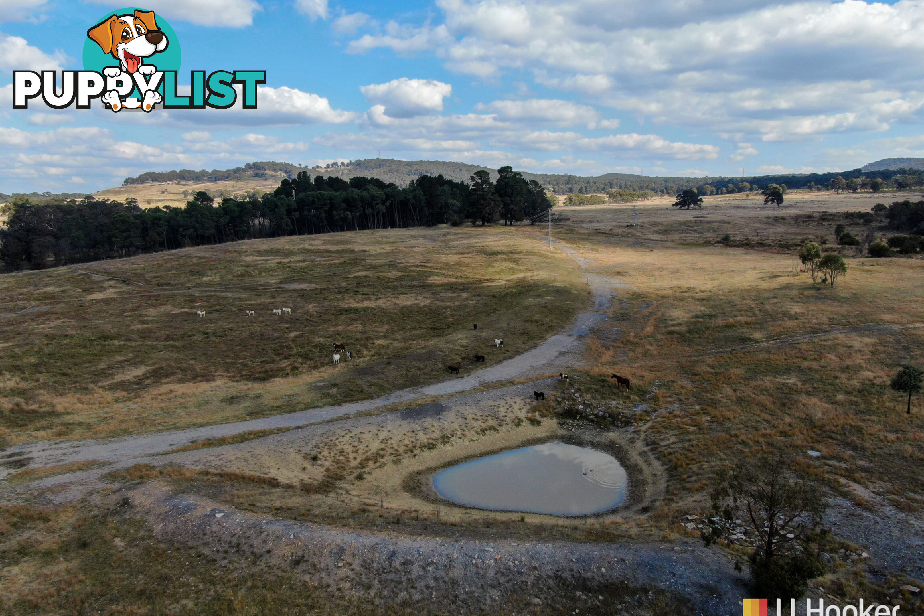 1449 Castlereagh Highway LIDSDALE NSW 2790