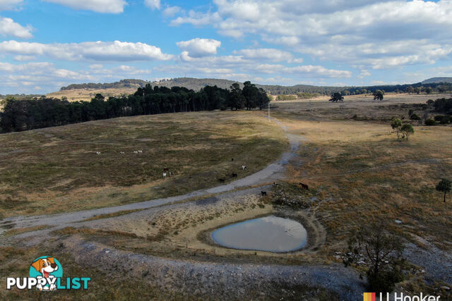 1449 Castlereagh Highway LIDSDALE NSW 2790