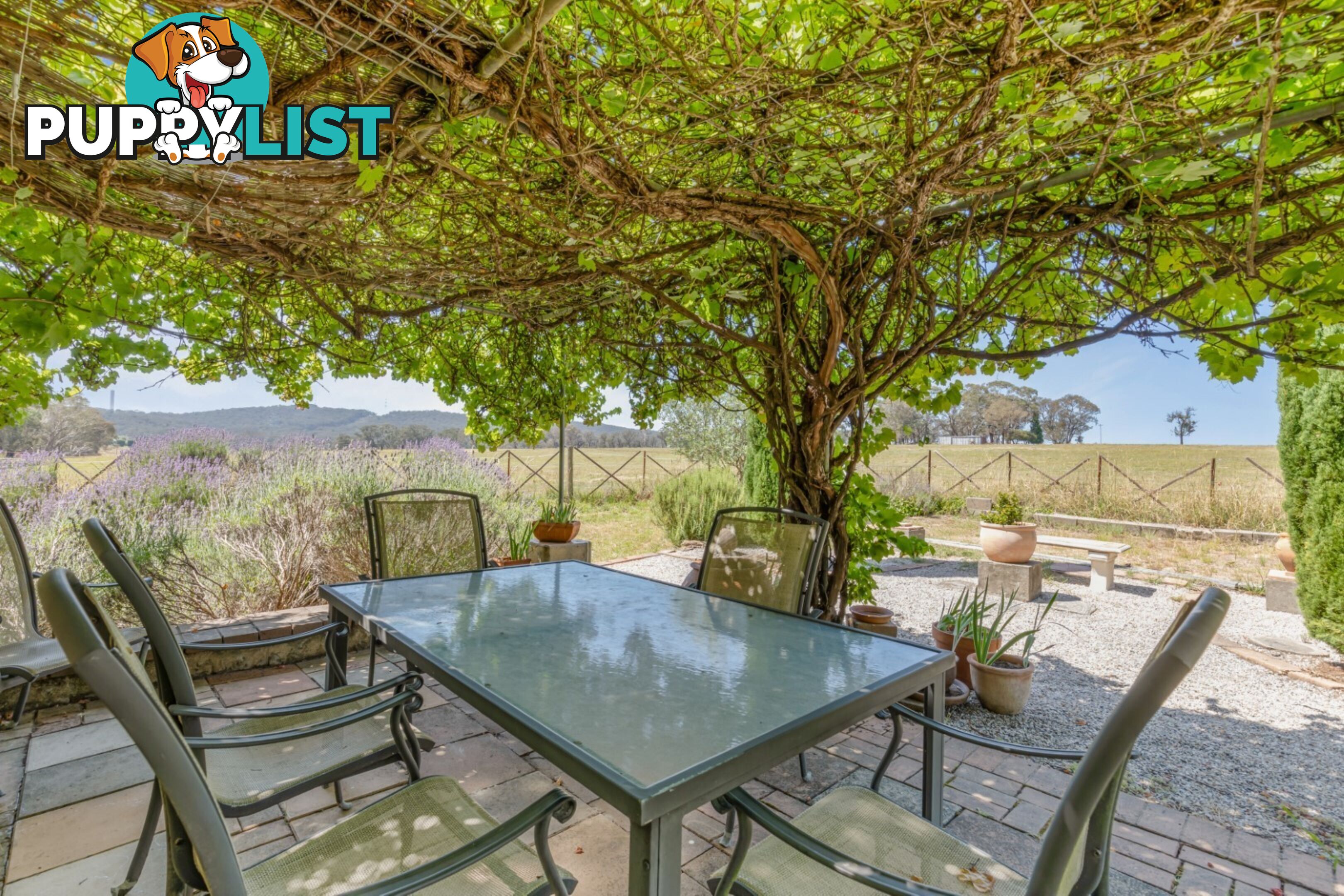502 Back Cullen Road PORTLAND NSW 2847