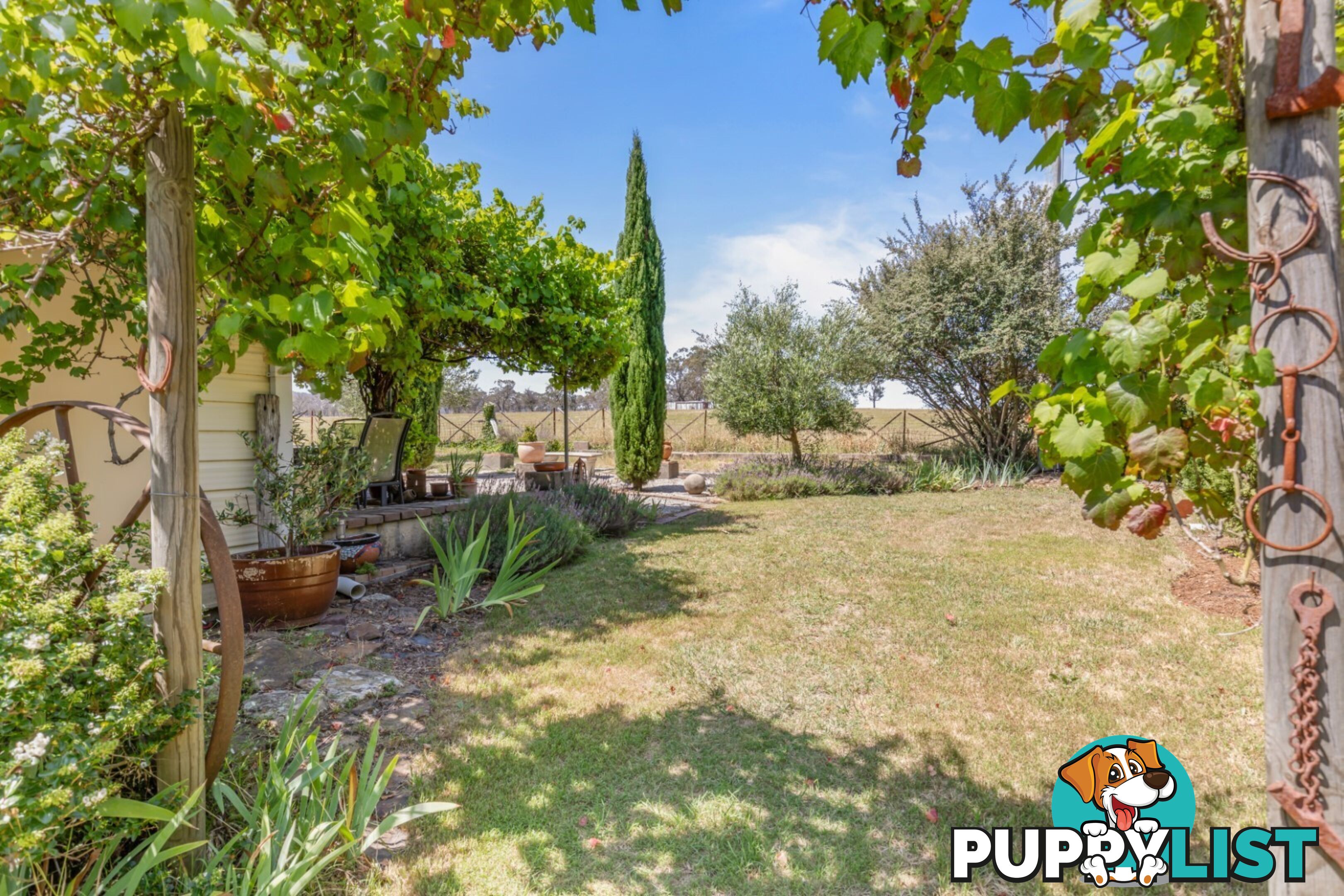 502 Back Cullen Road PORTLAND NSW 2847