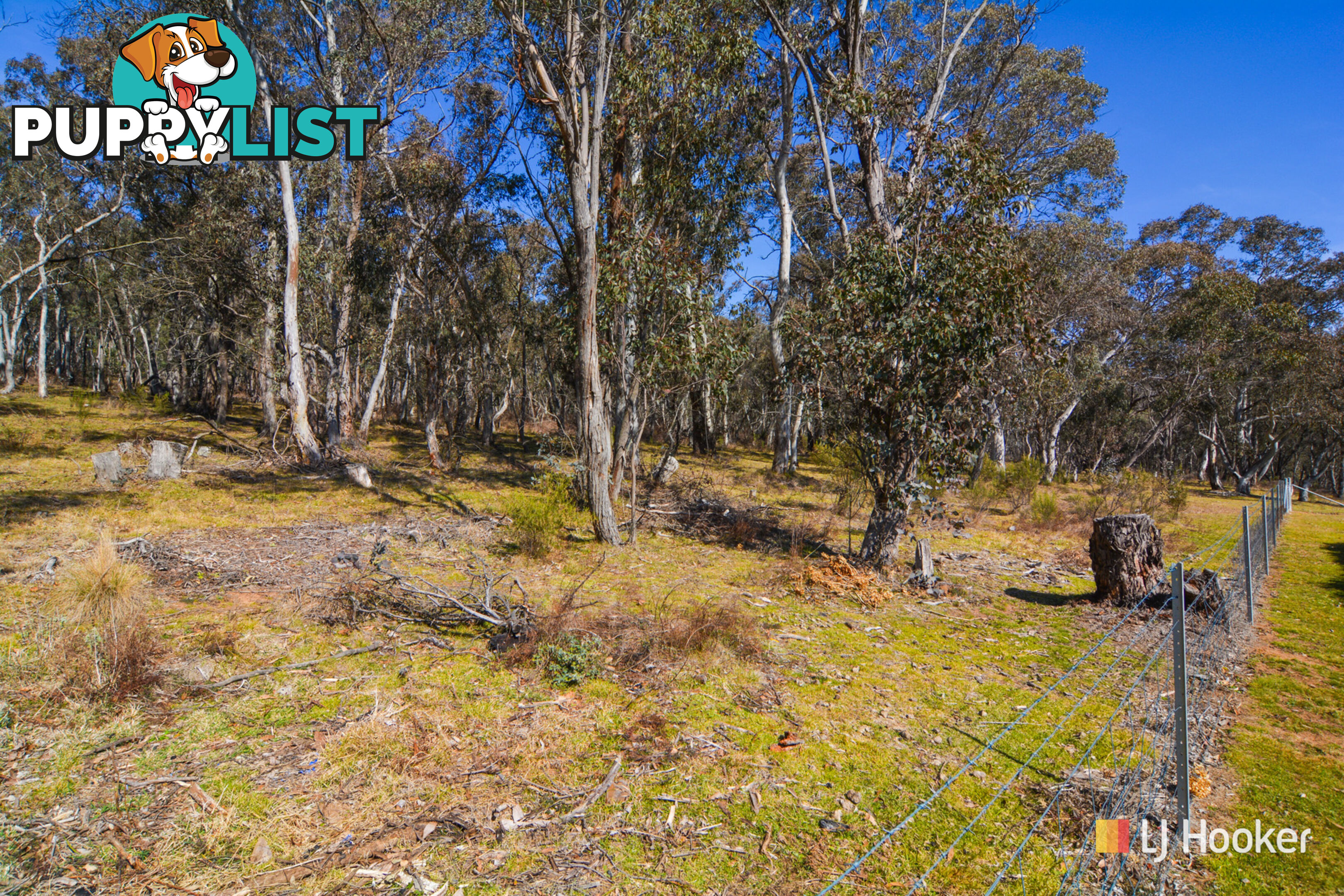 105 Williwa Creek Road PORTLAND NSW 2847