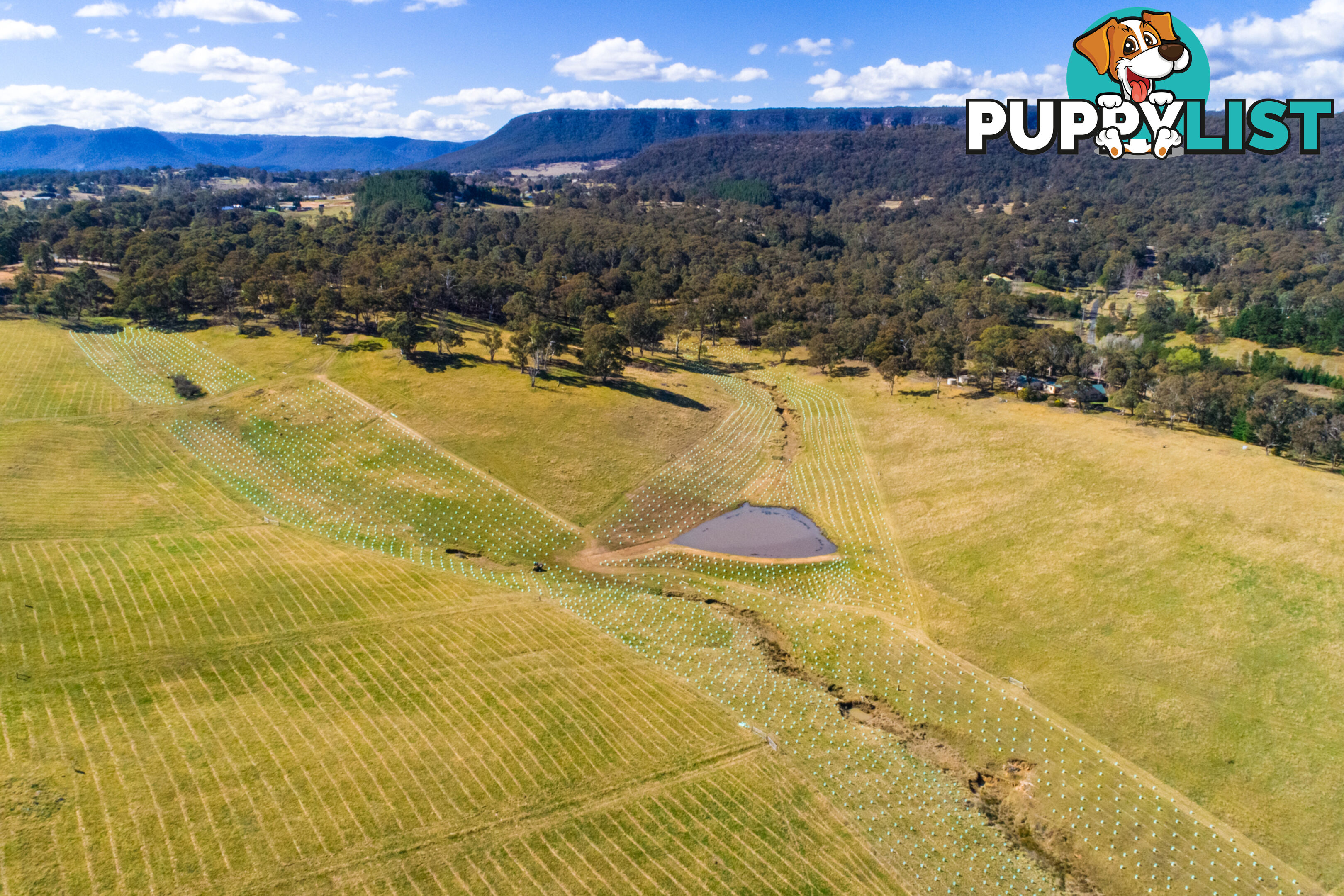 Lot 31 Moyne Farm LITTLE HARTLEY NSW 2790